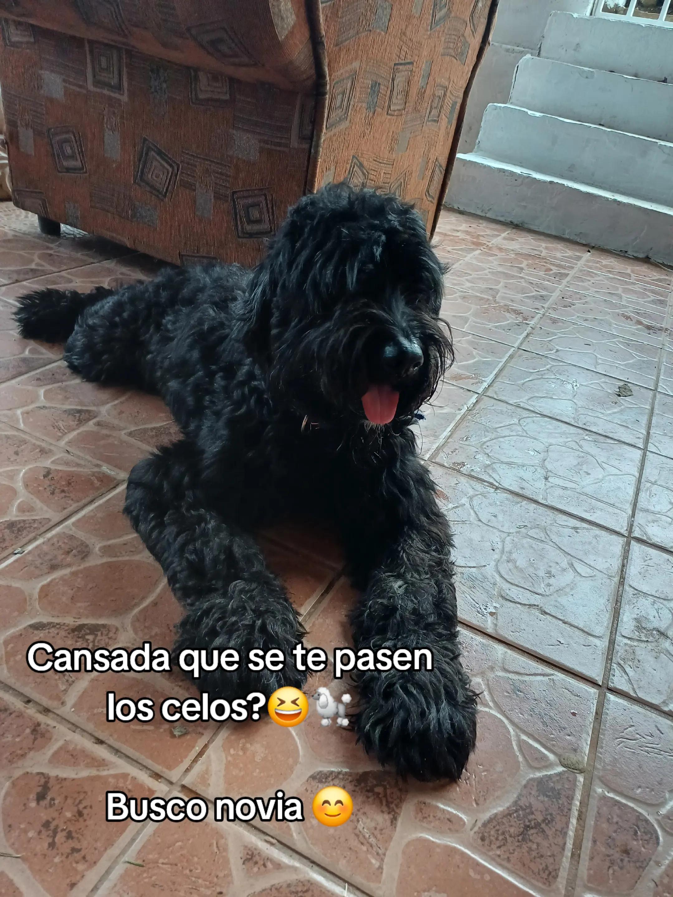 @Licda. Ninoshka Aguilar👩🏻⚕️