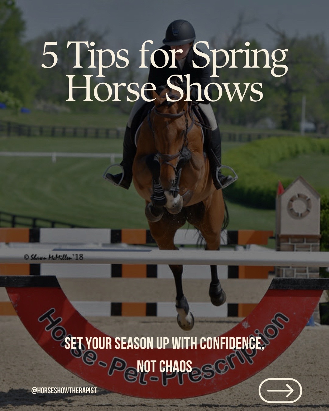 @Dr. J | Horse Show Therapist