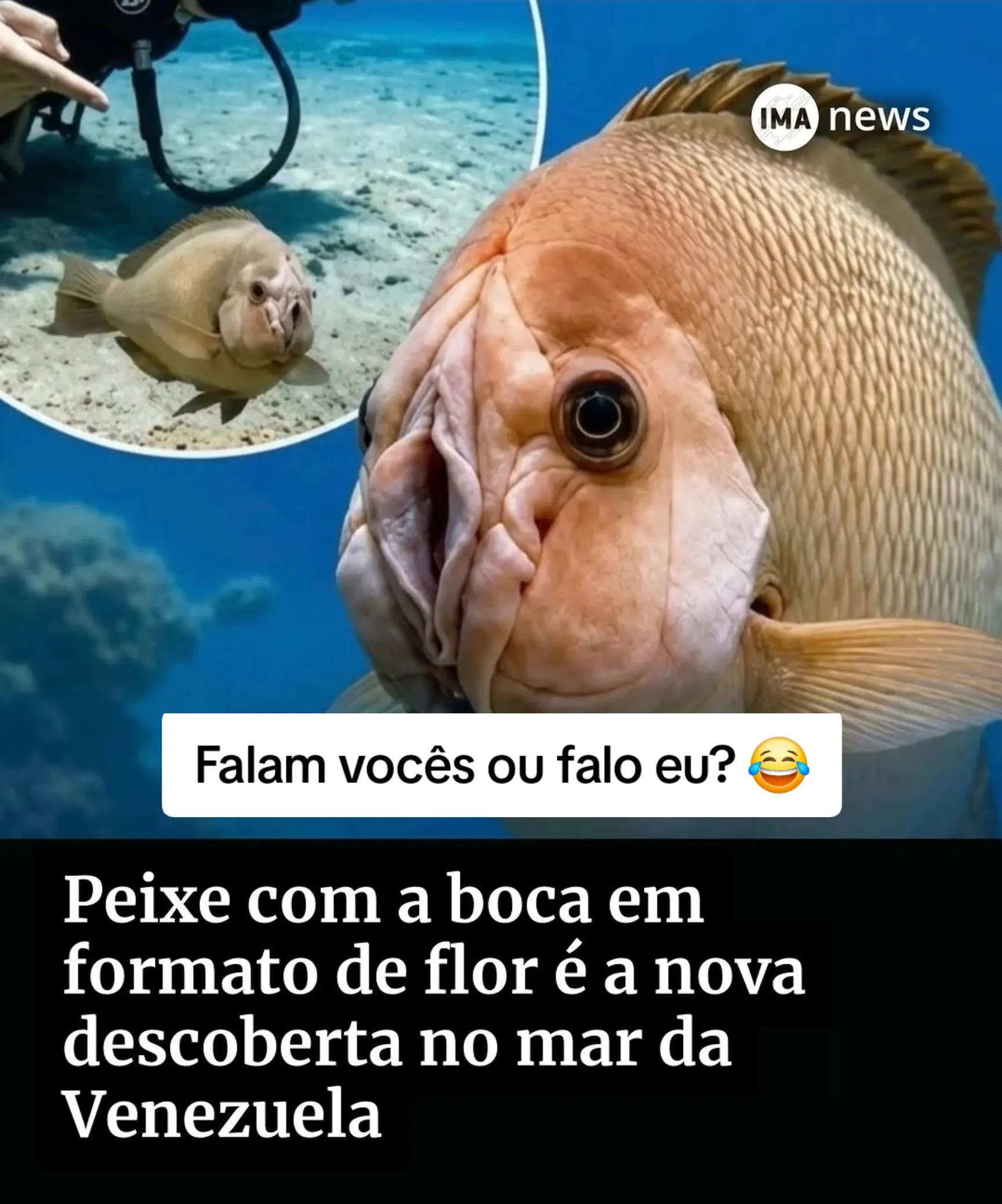 @DR89PT