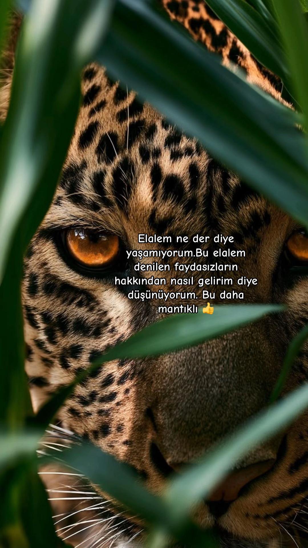 @kuralbenimmm