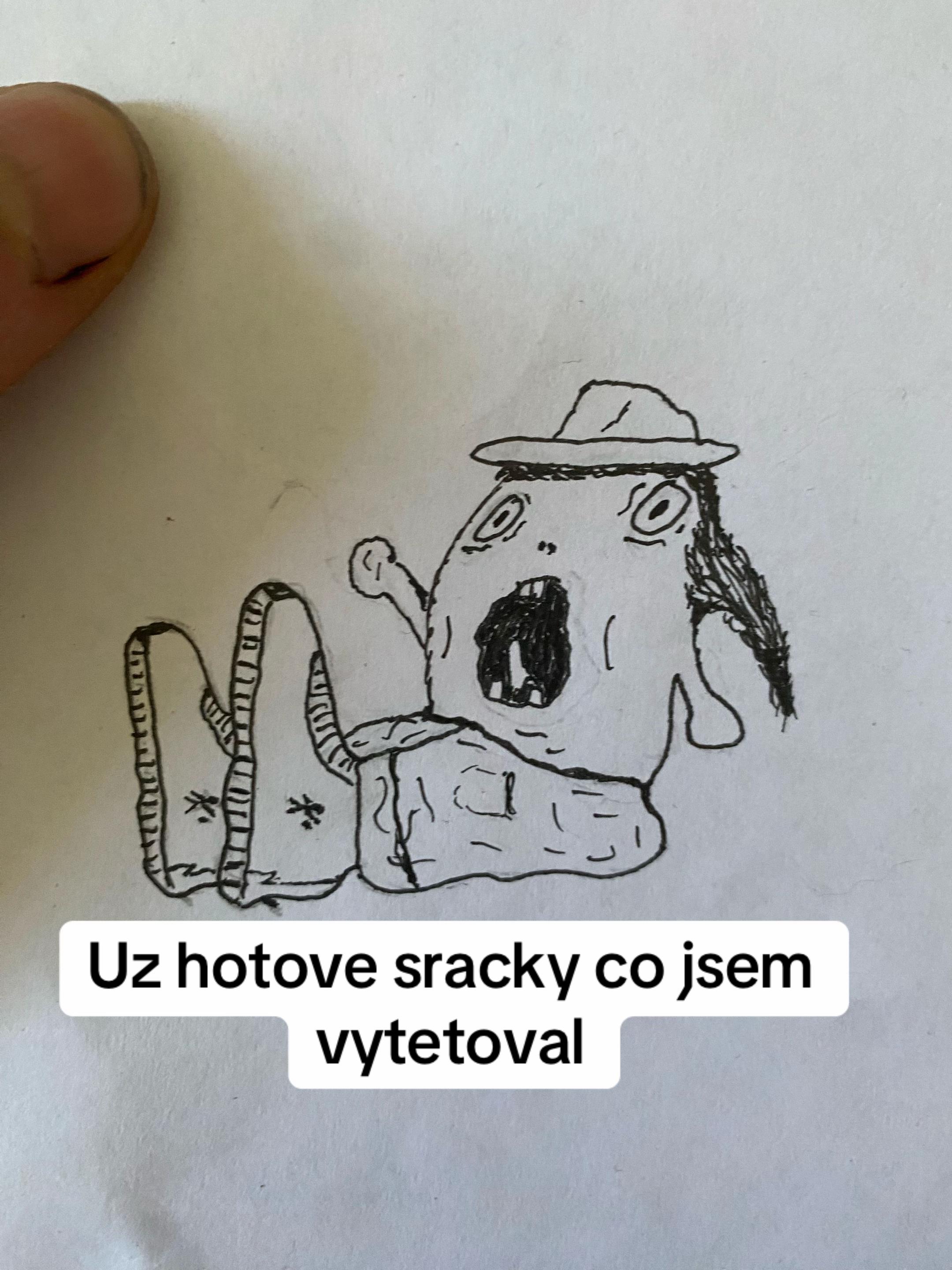 @pesimistickyhipik