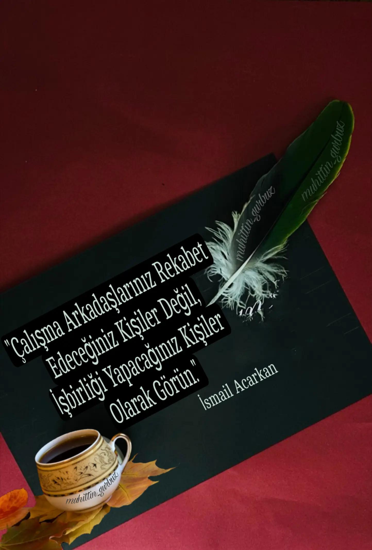@🇹🇷 Muhittin44 🇹🇷