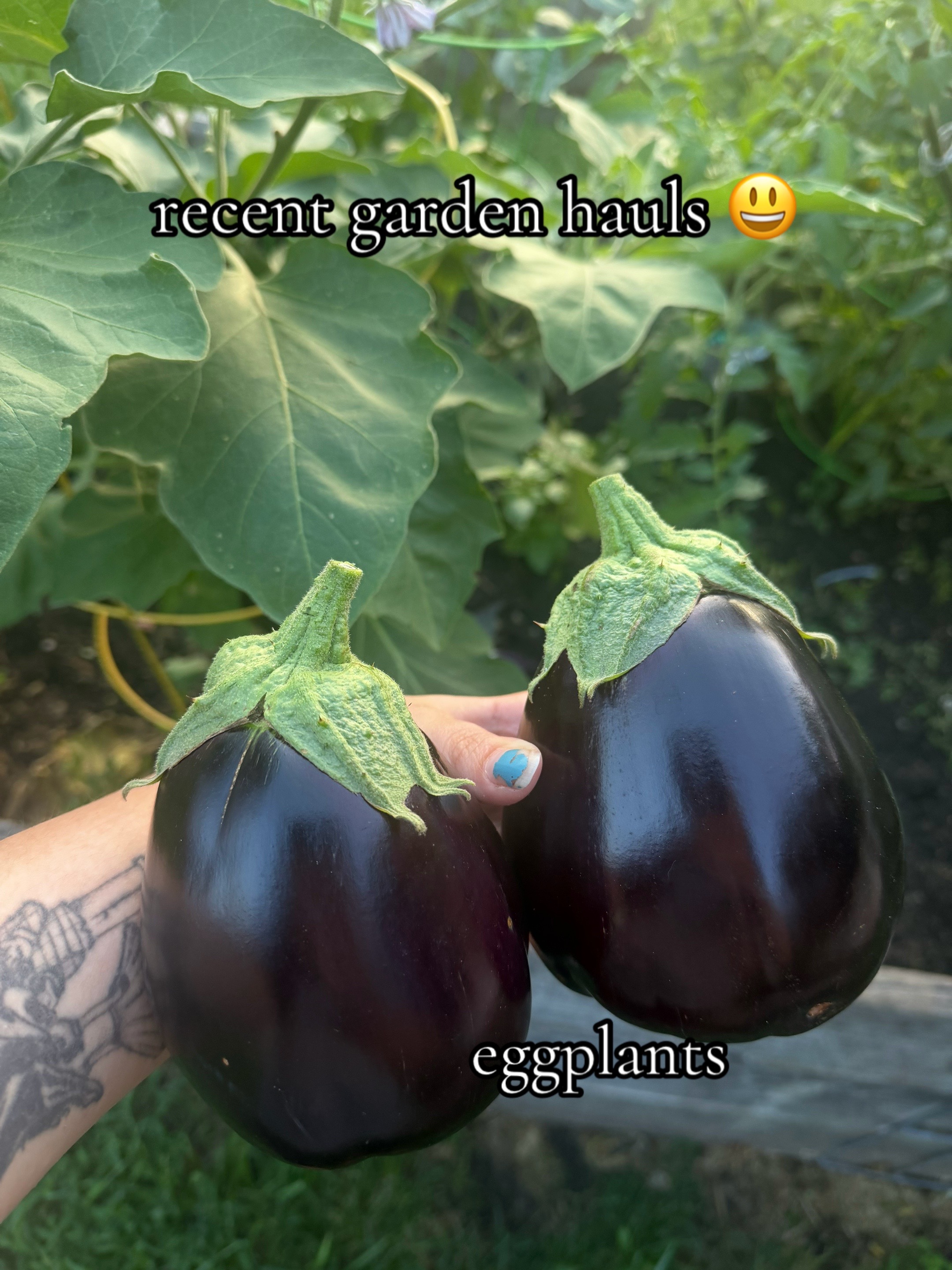 @ℳ𝒶𝓎 🪿🕸️