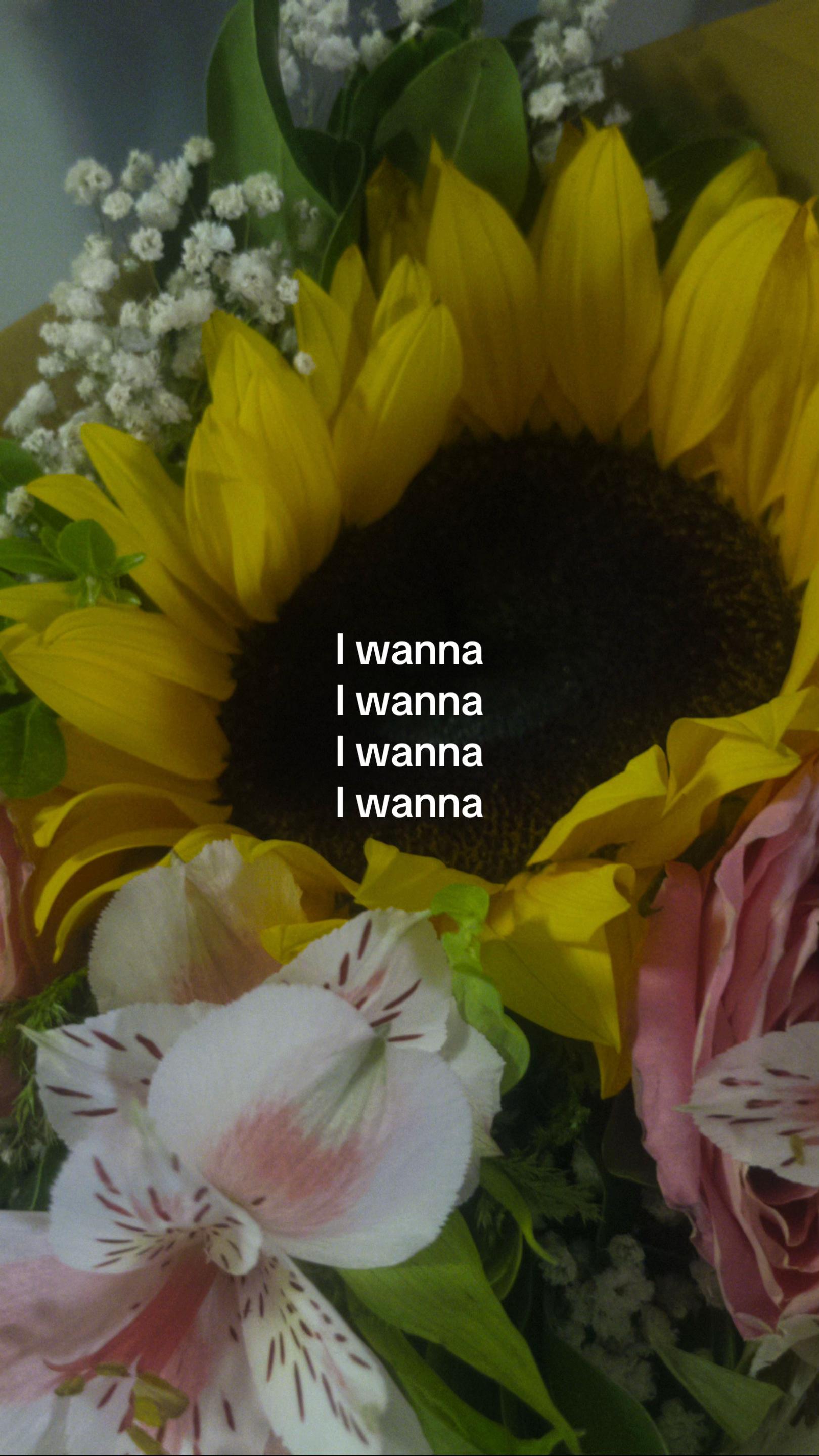 @georgette