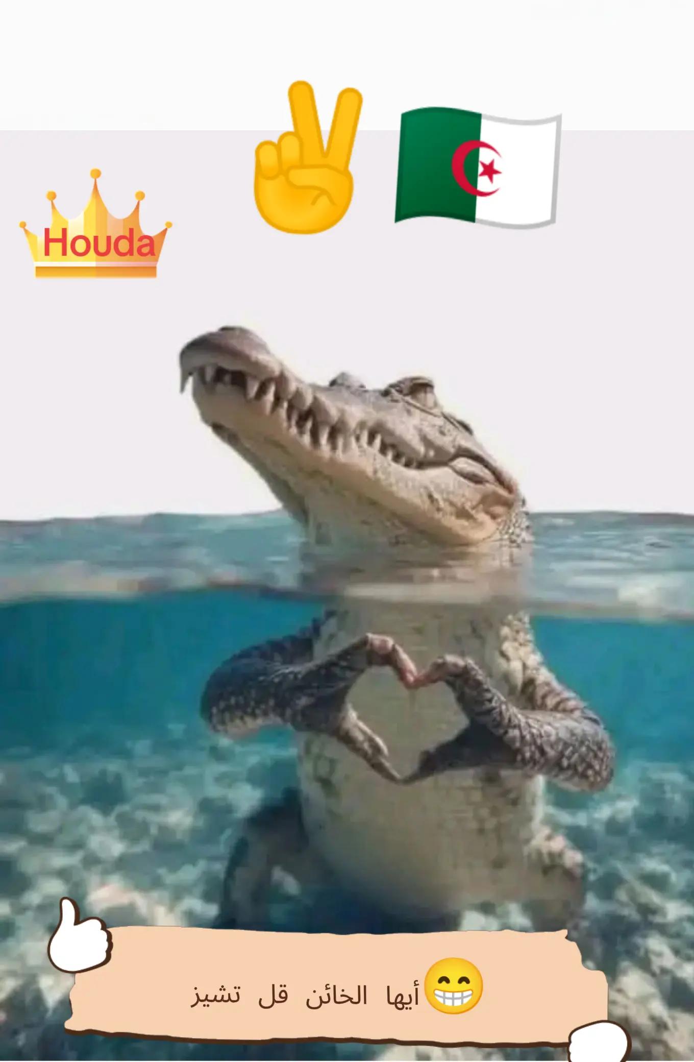 @🤝 اليسر