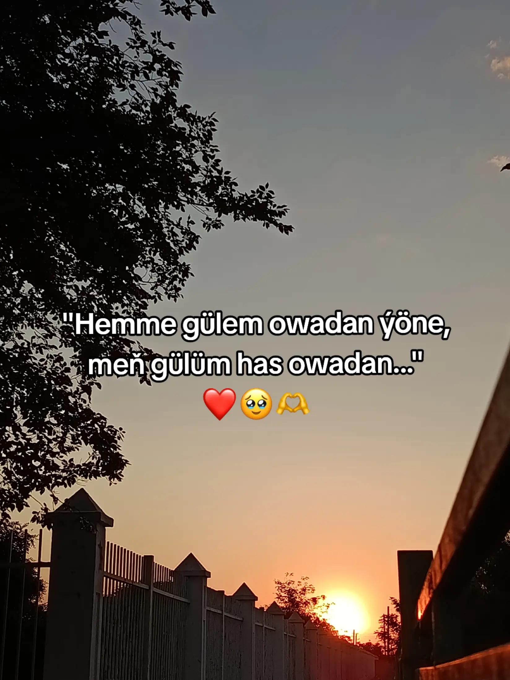 @𝙂𝙖𝙯𝙖𝙠𝙊𝙁𝙁🦈