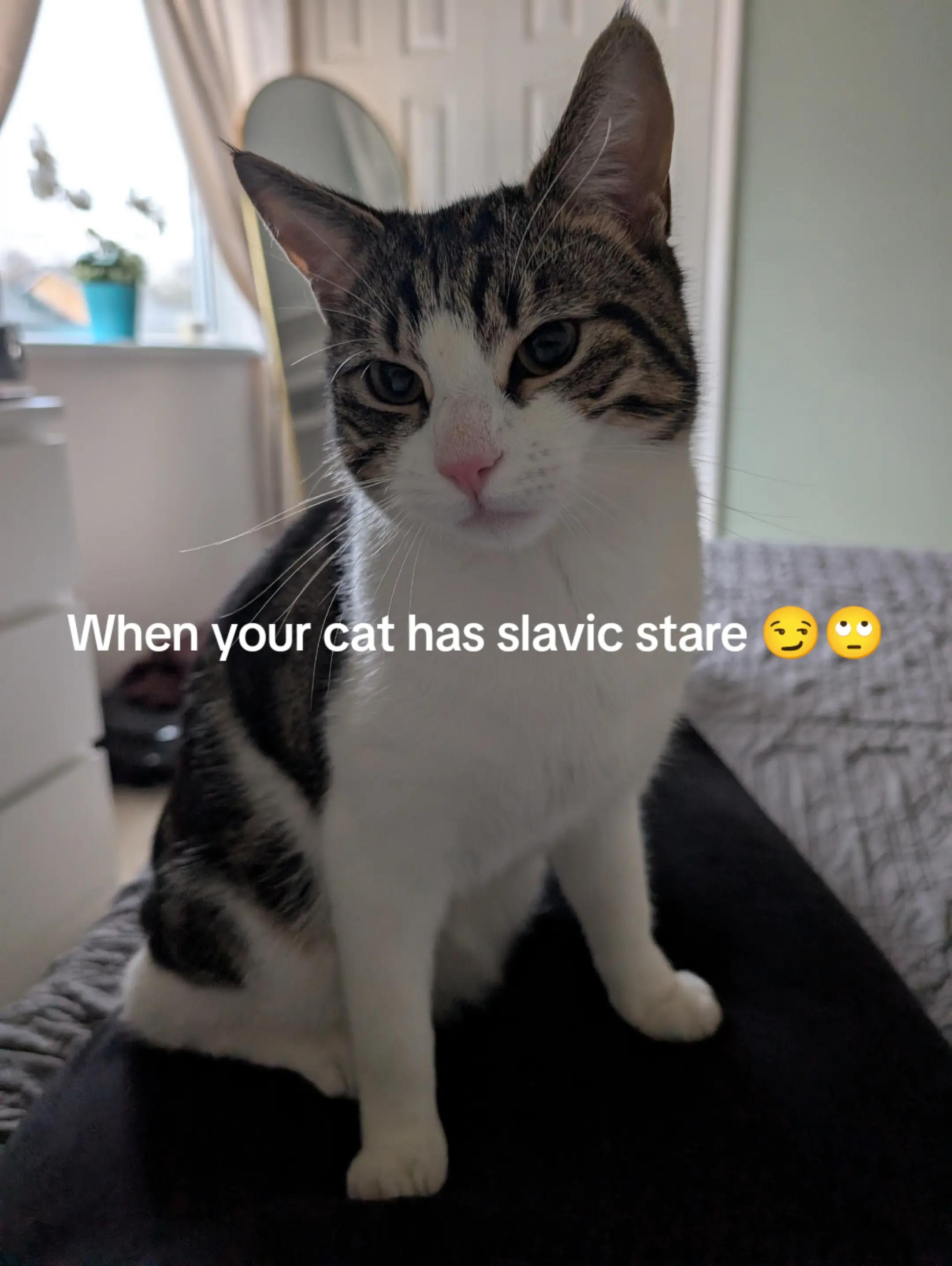 @Patty🇵🇱🇬🇧