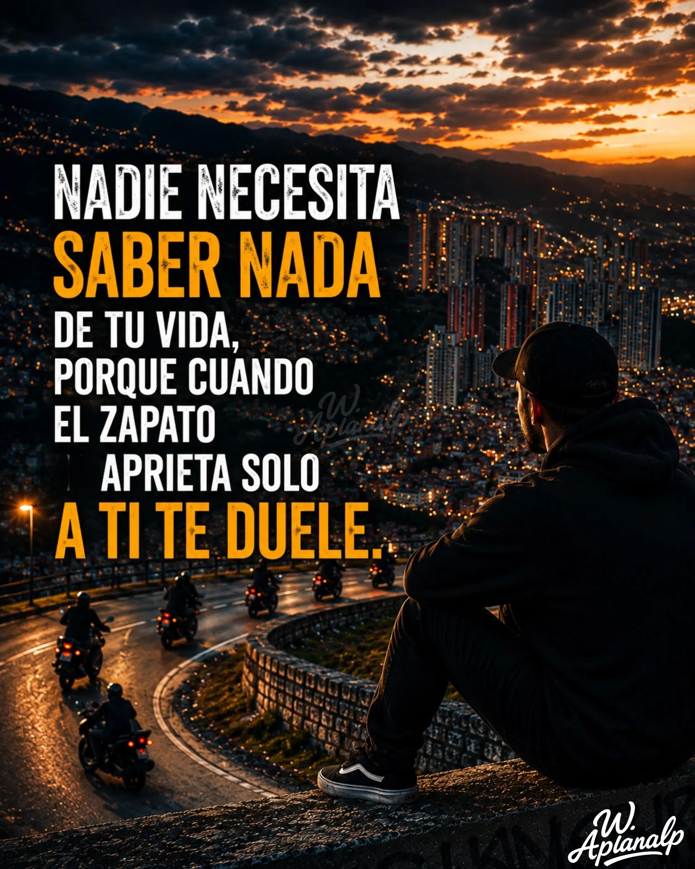 @EL-PROFE 🩵