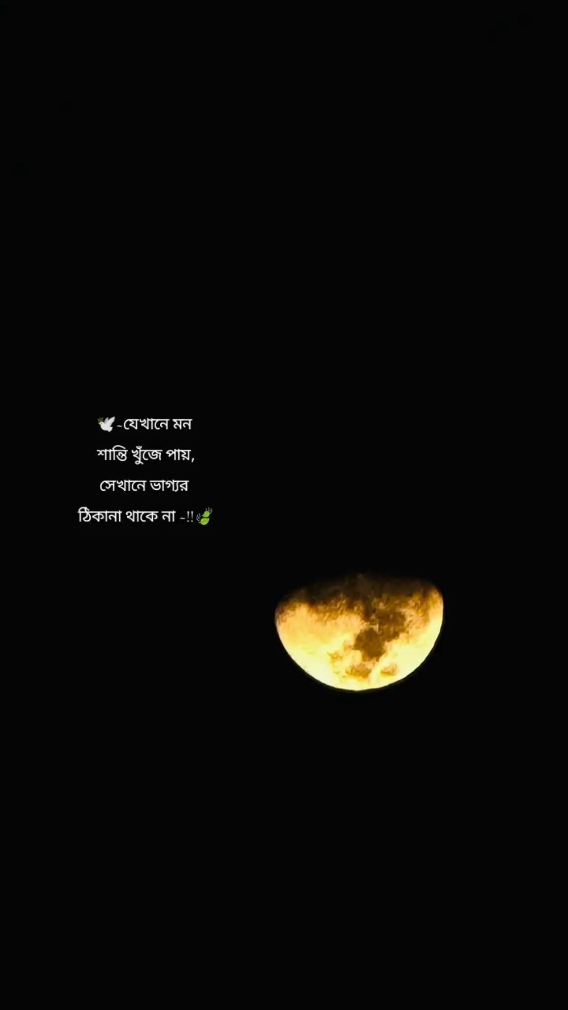 @Chikni Cameli ( শাড়ি কন্যা ✨)