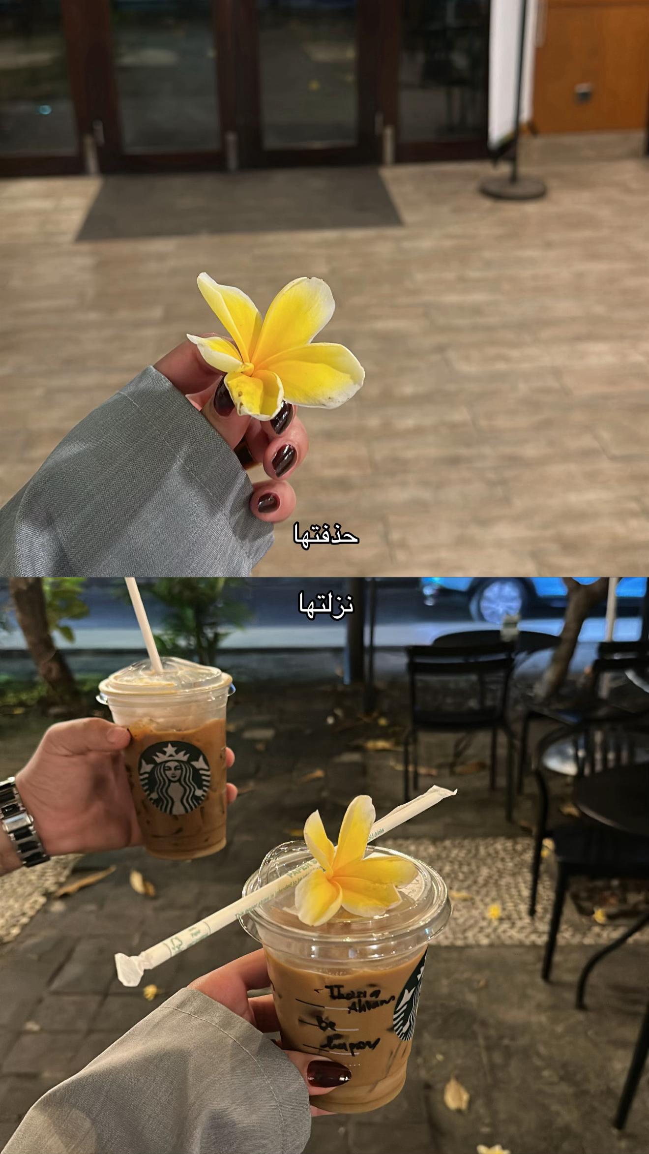 @Lomy🌷