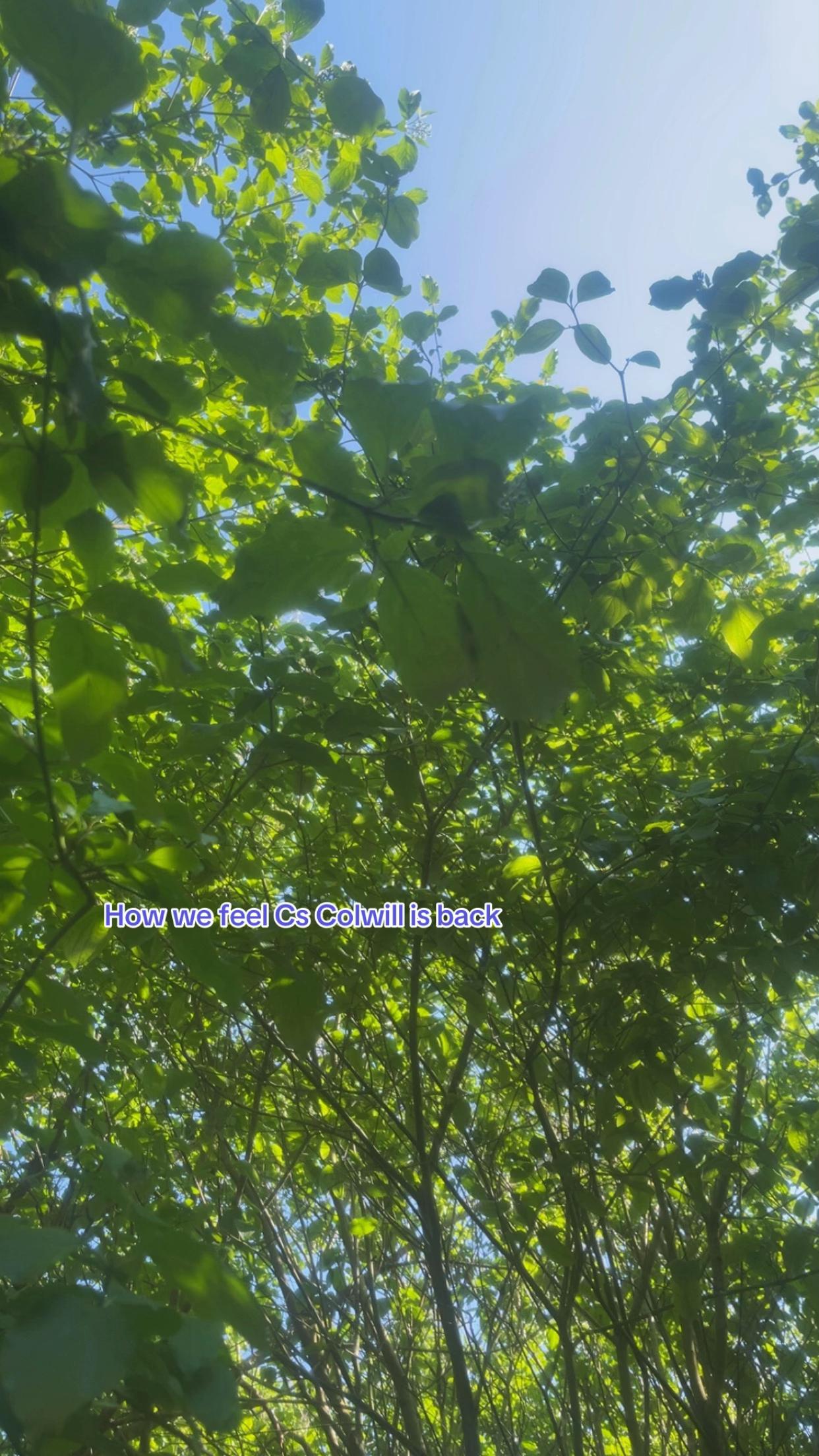 @🔋