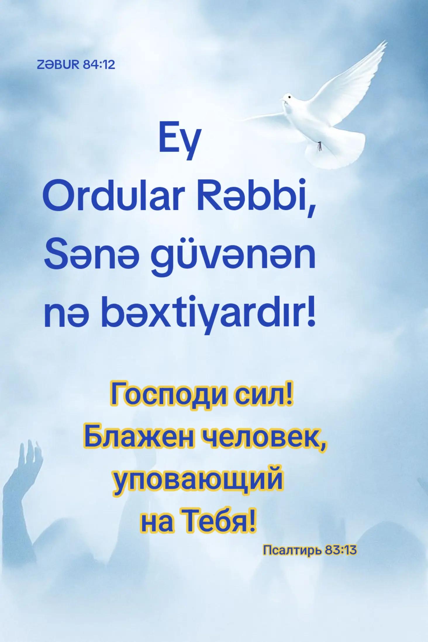 @xristian777