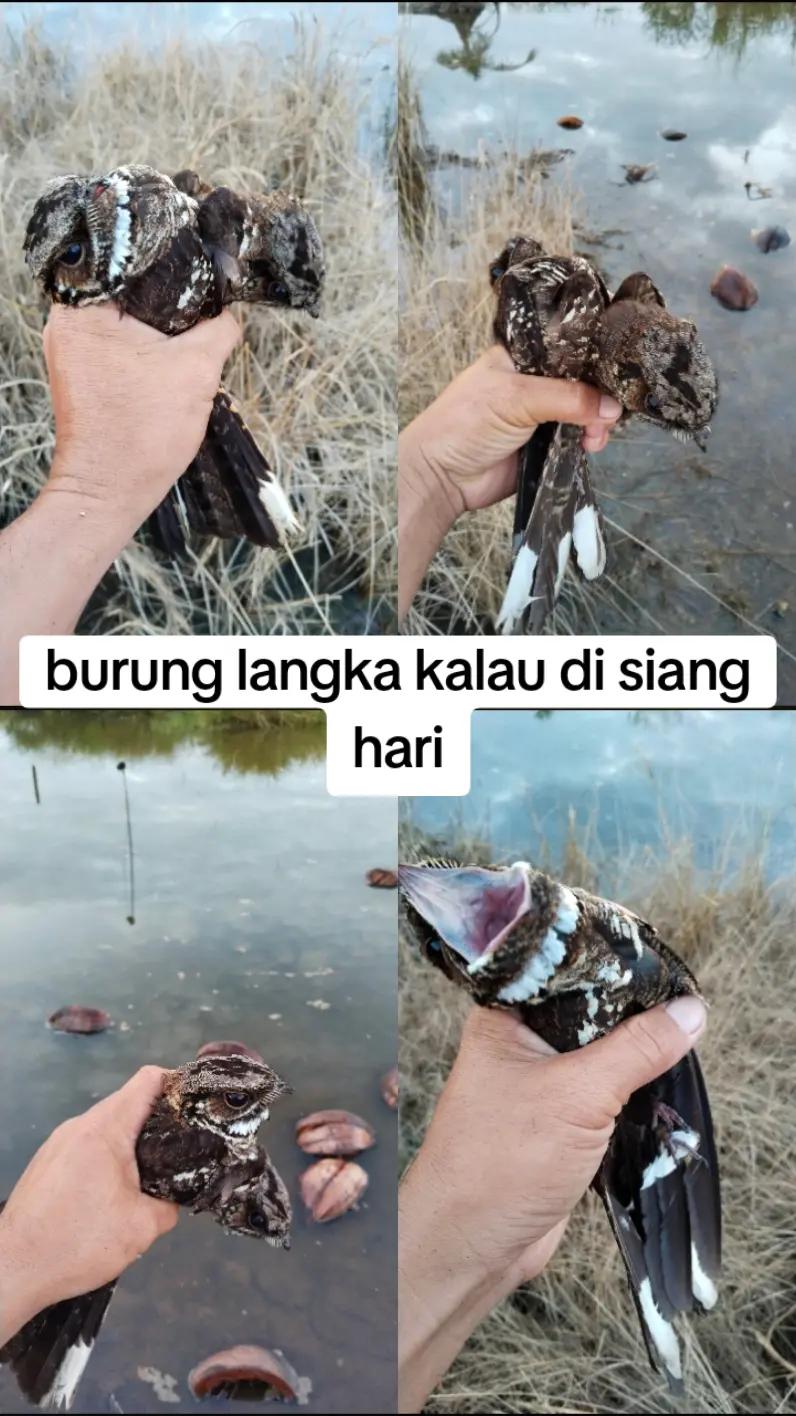 @SKAY & DKK CHANNEL