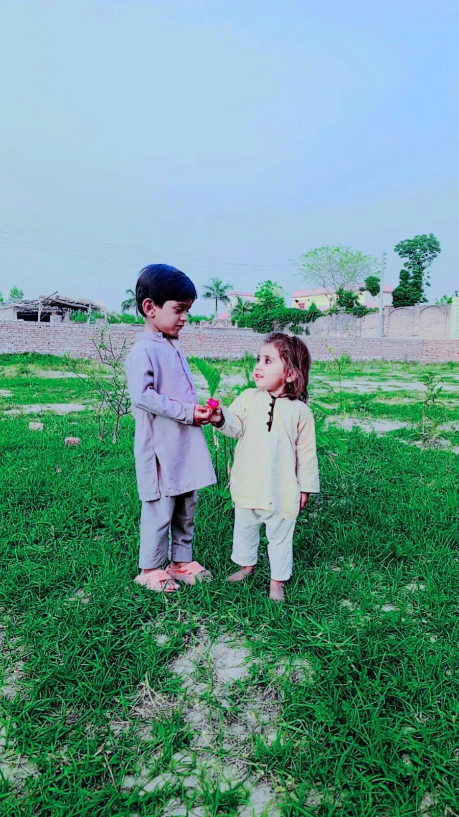 @kamran