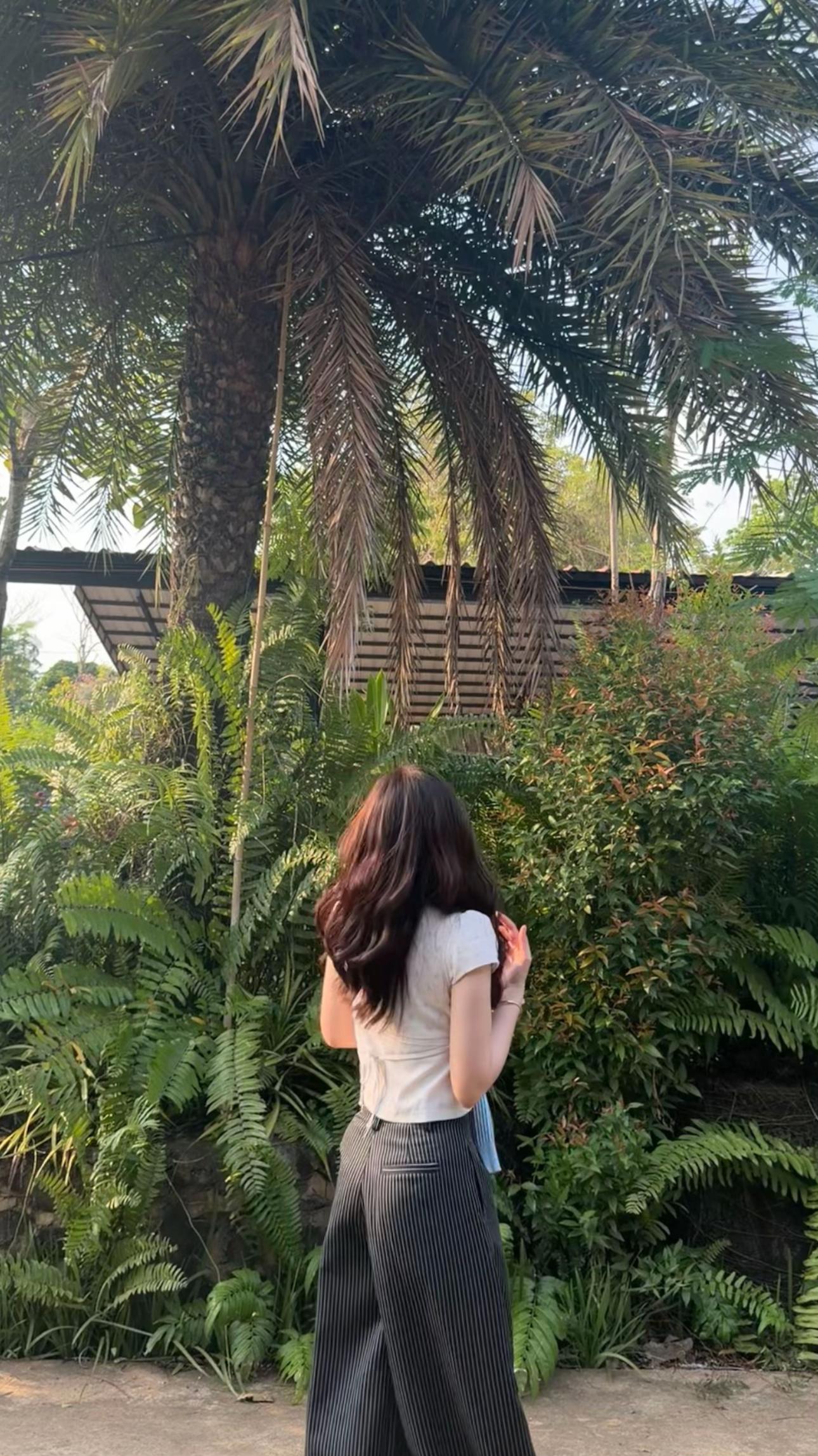 @Kimsorr