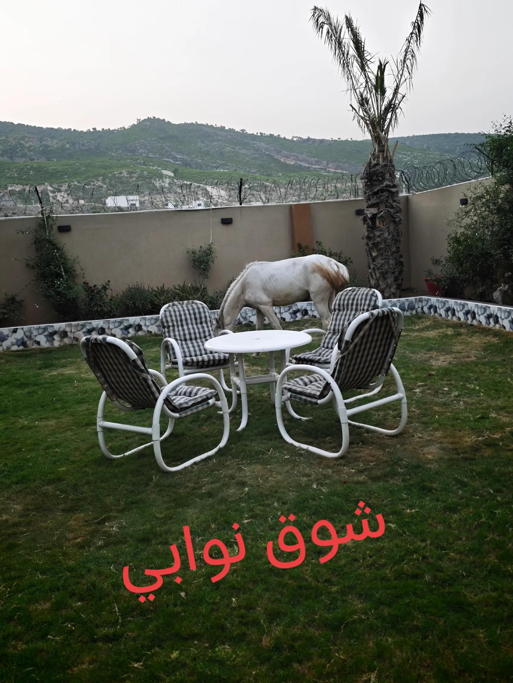 @Malik Ahmed Watli