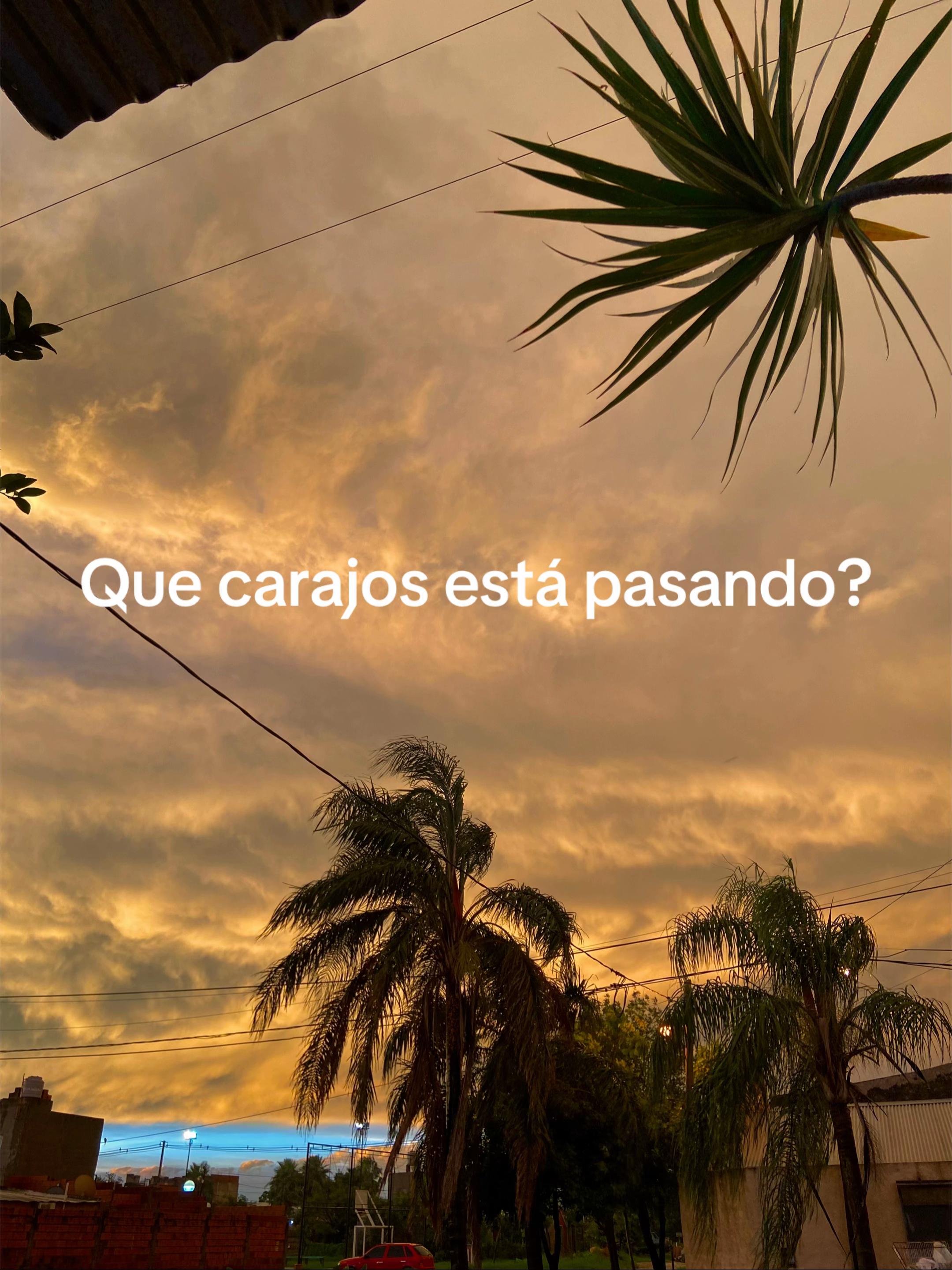 @Mariana Guillen