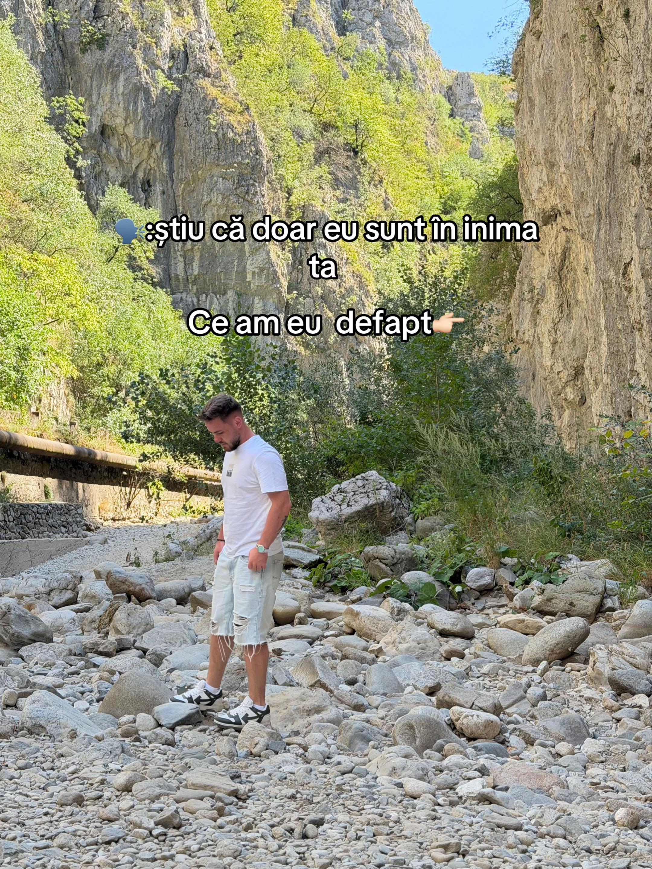 @Mihai Chivu