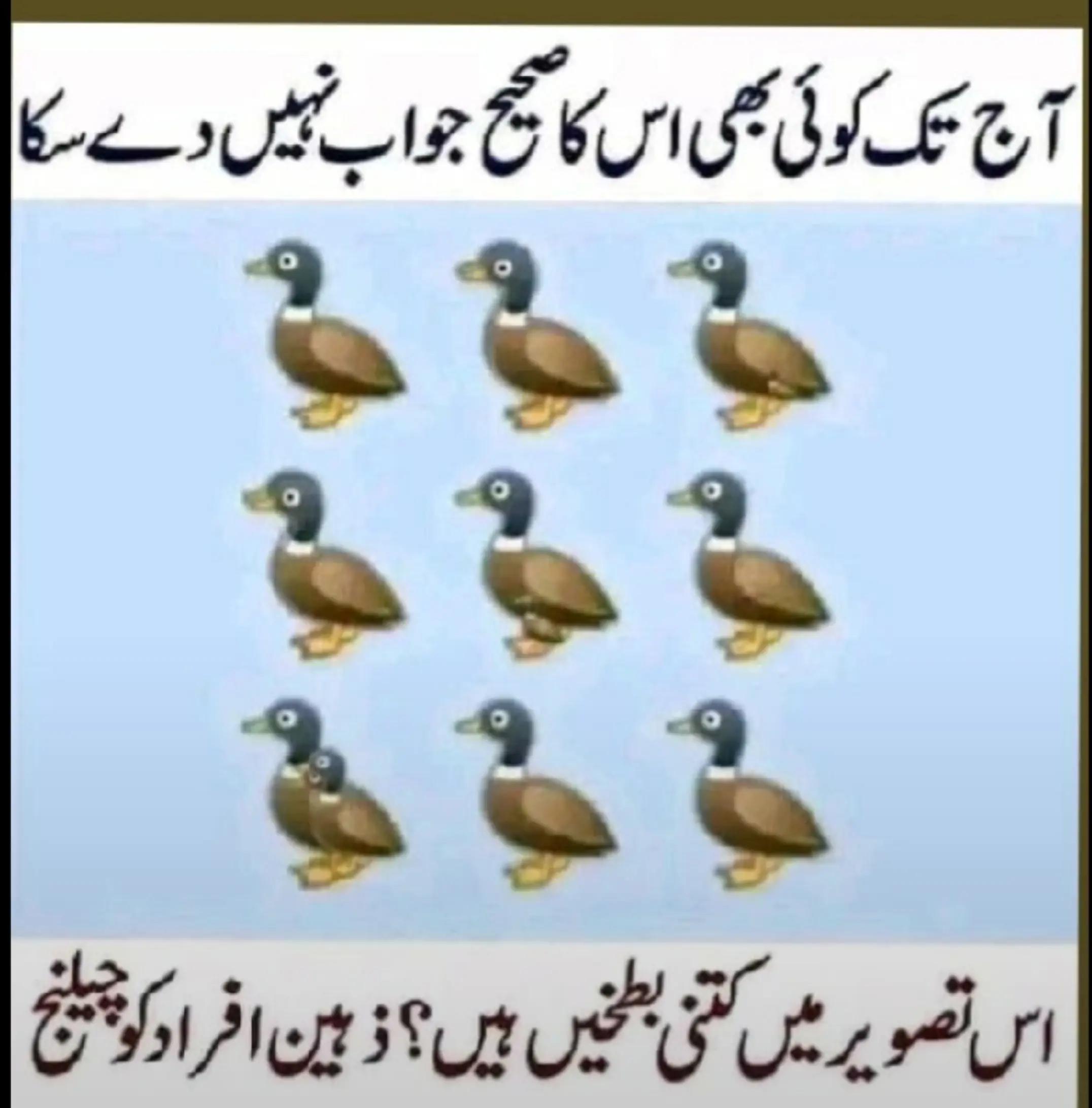 @میاں صاحب ❤️❤️