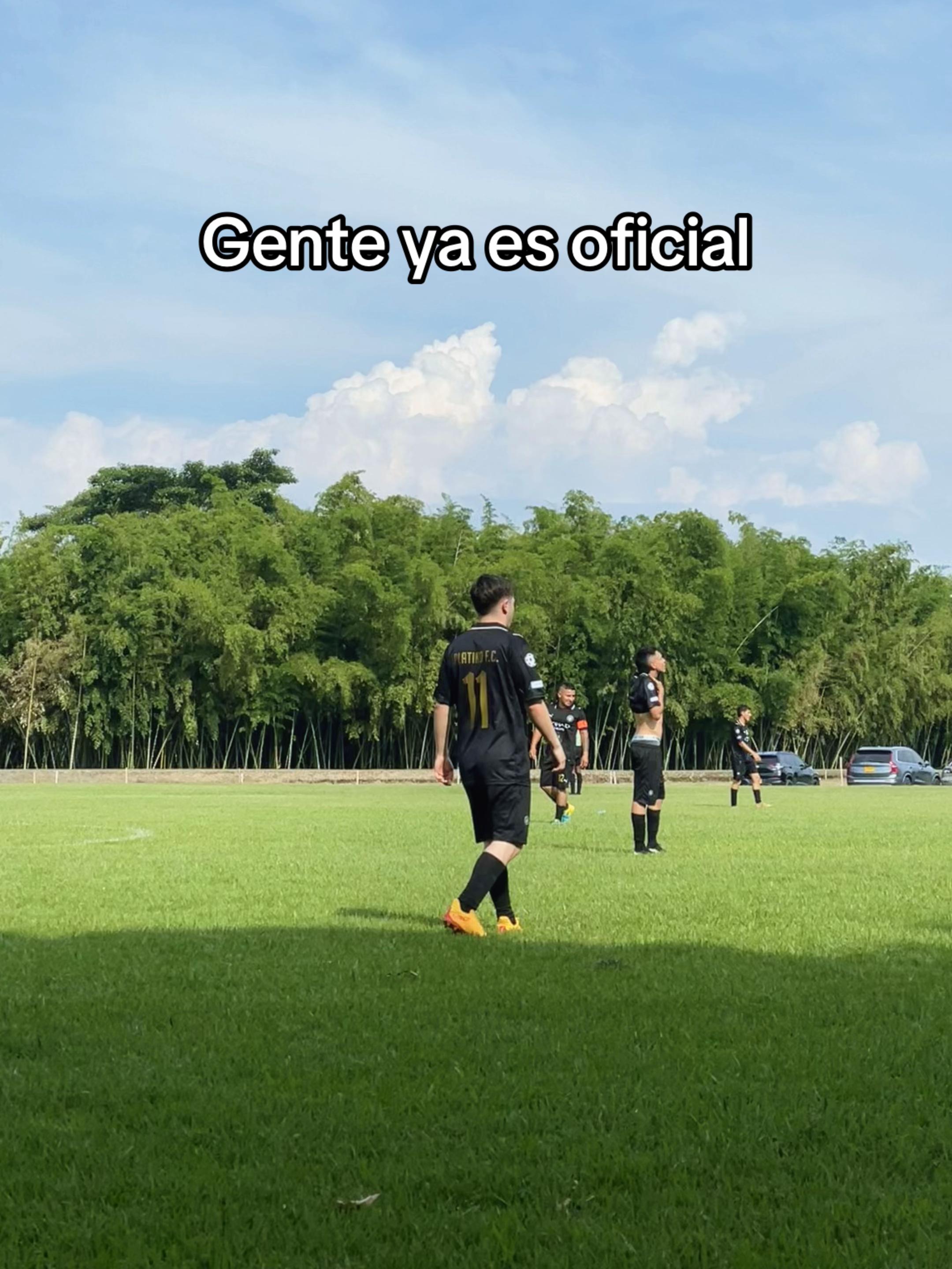 @Mario