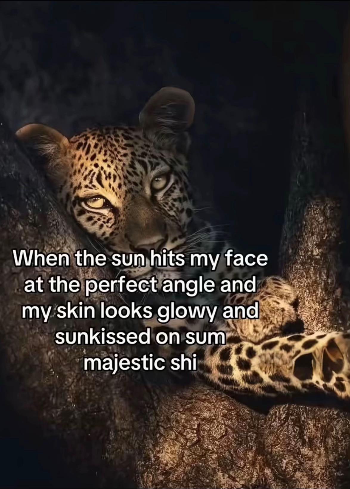 @pat
