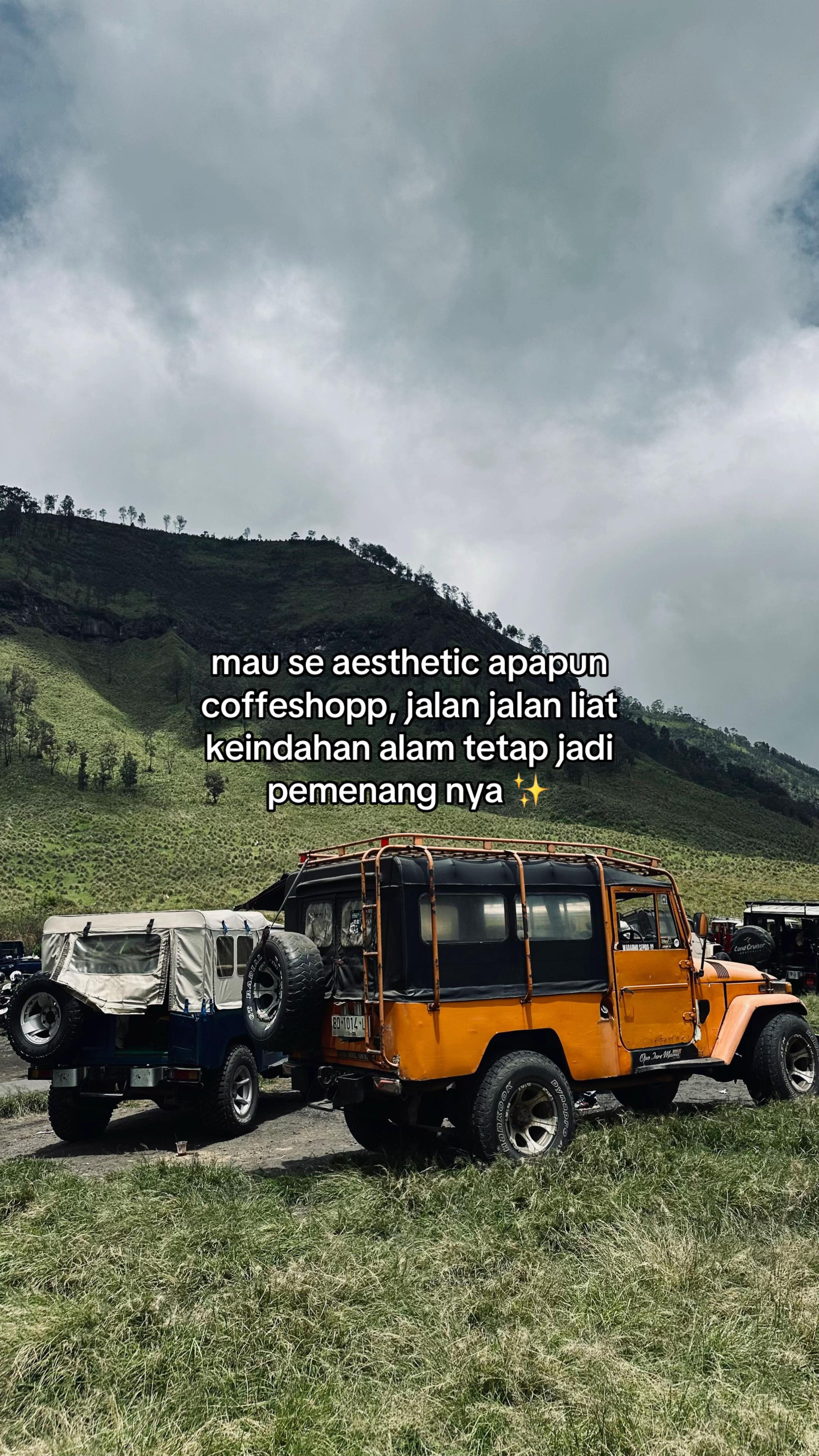 @🕊️