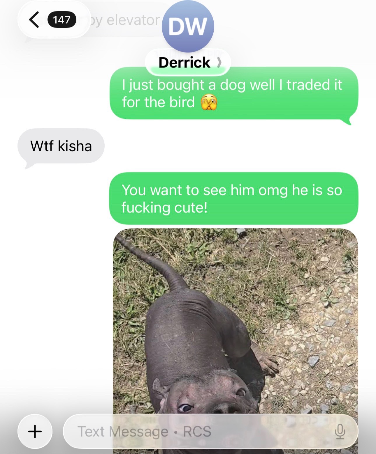 @ShhmoneyCurl