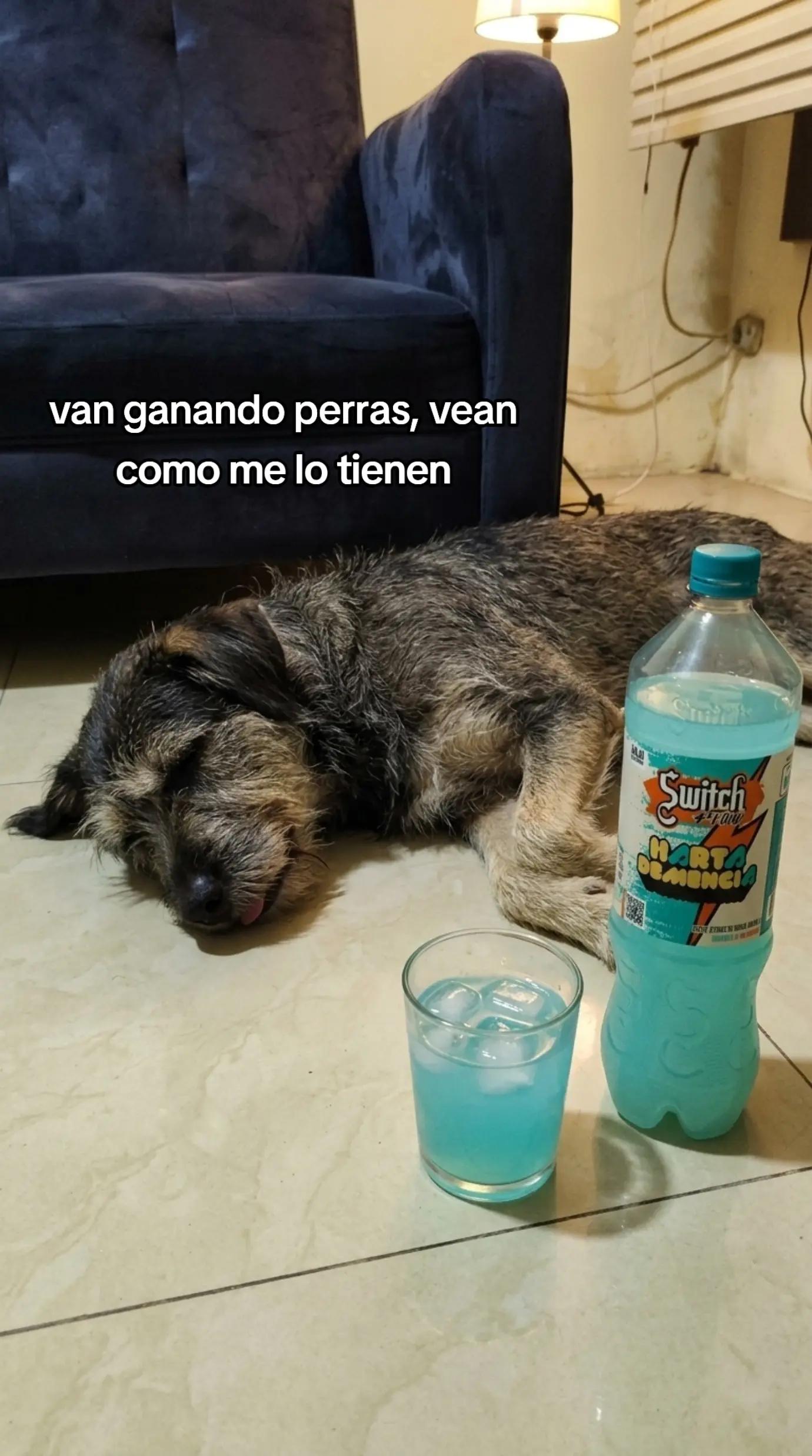@Cristhian