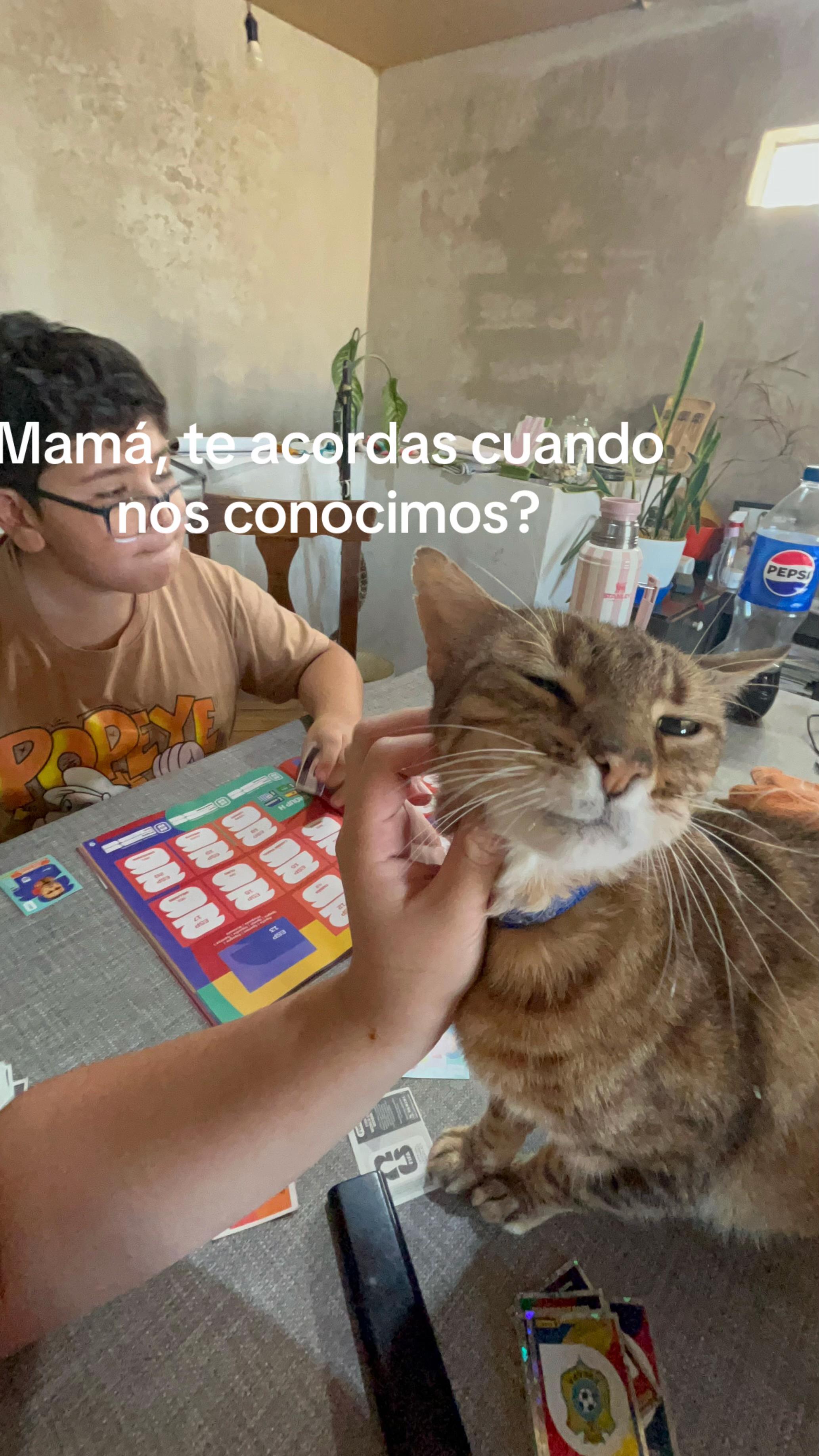 @bri🧸