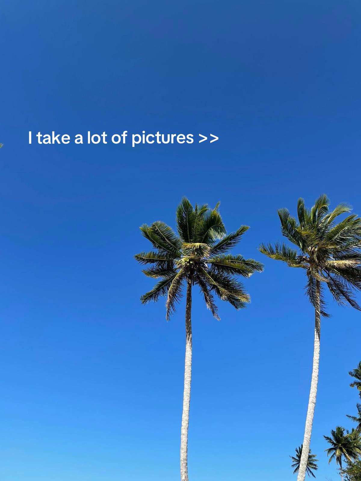 @Ele