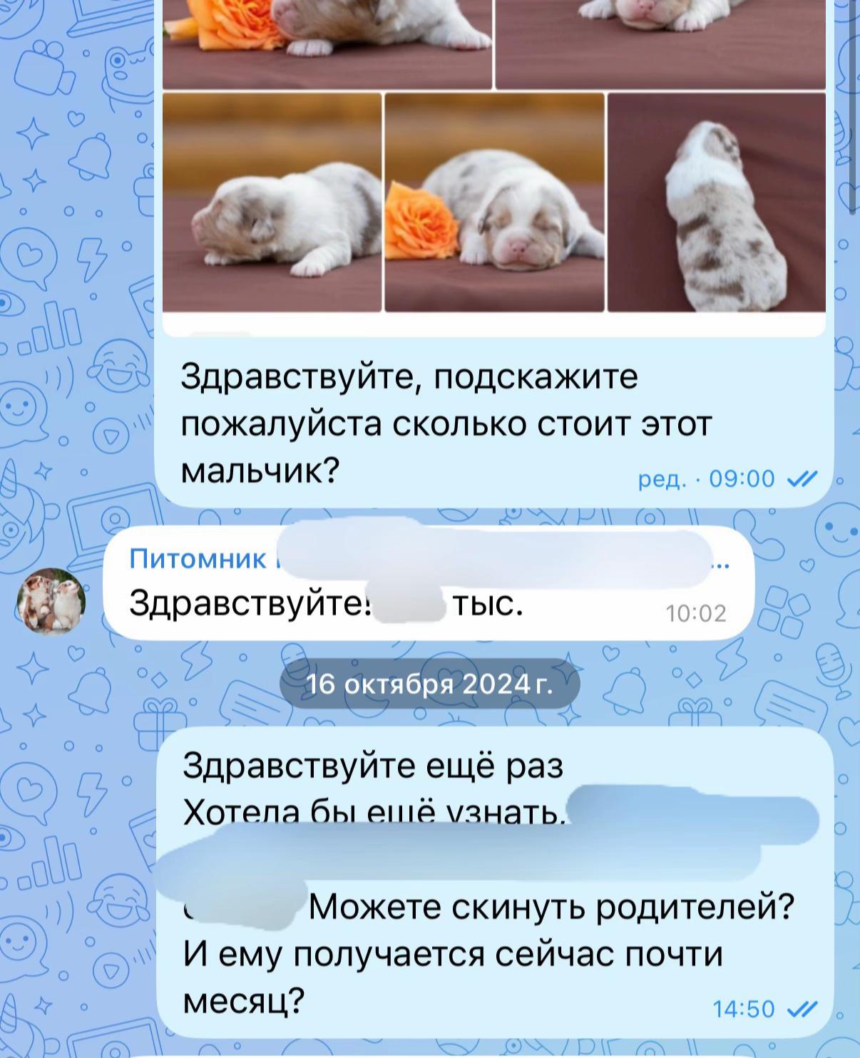@𝚃𝚠𝚒𝚡