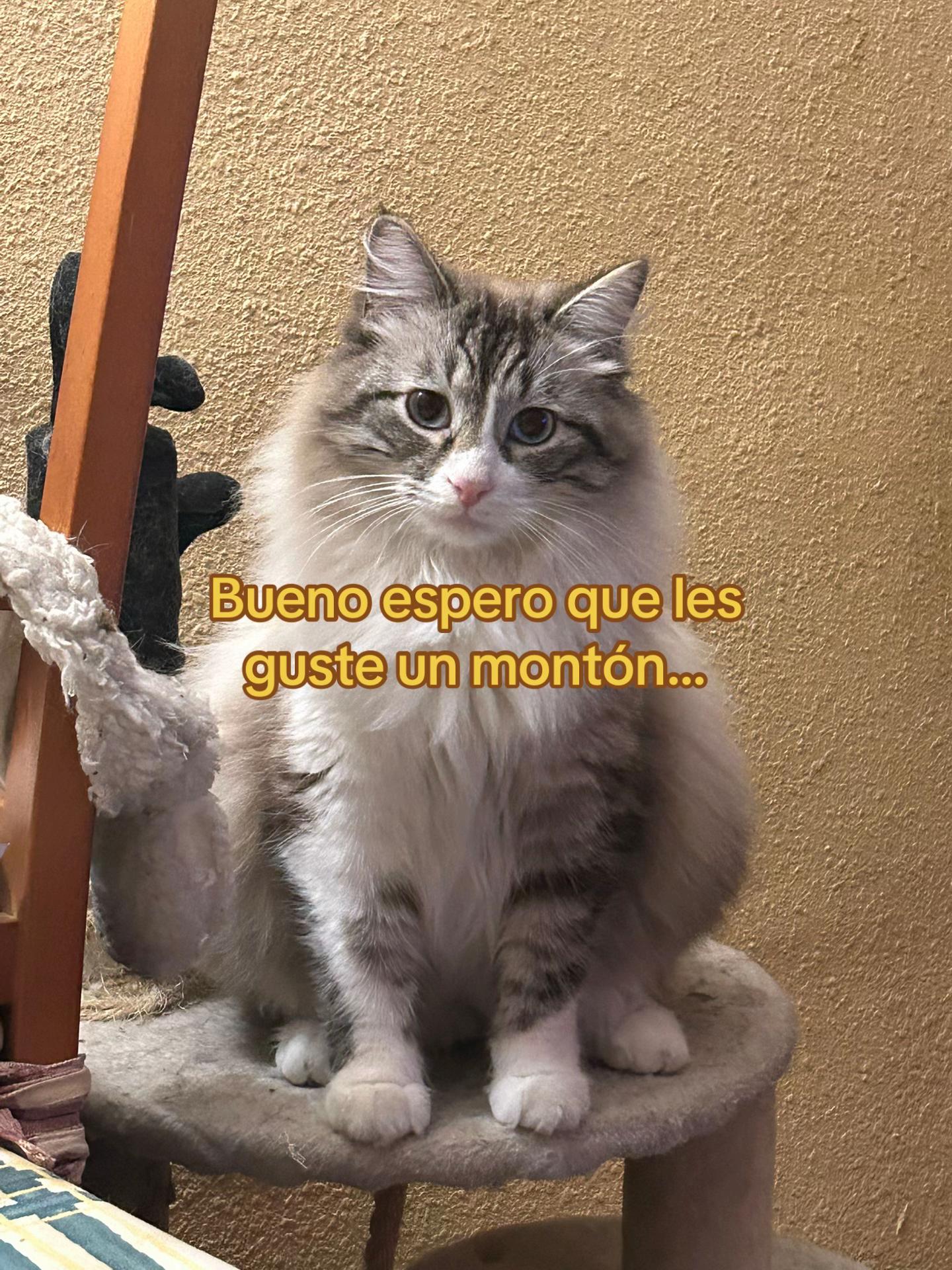 @ᵃ ʳ ᵗ ʰ ᵘ ʳ 🕯️🥐