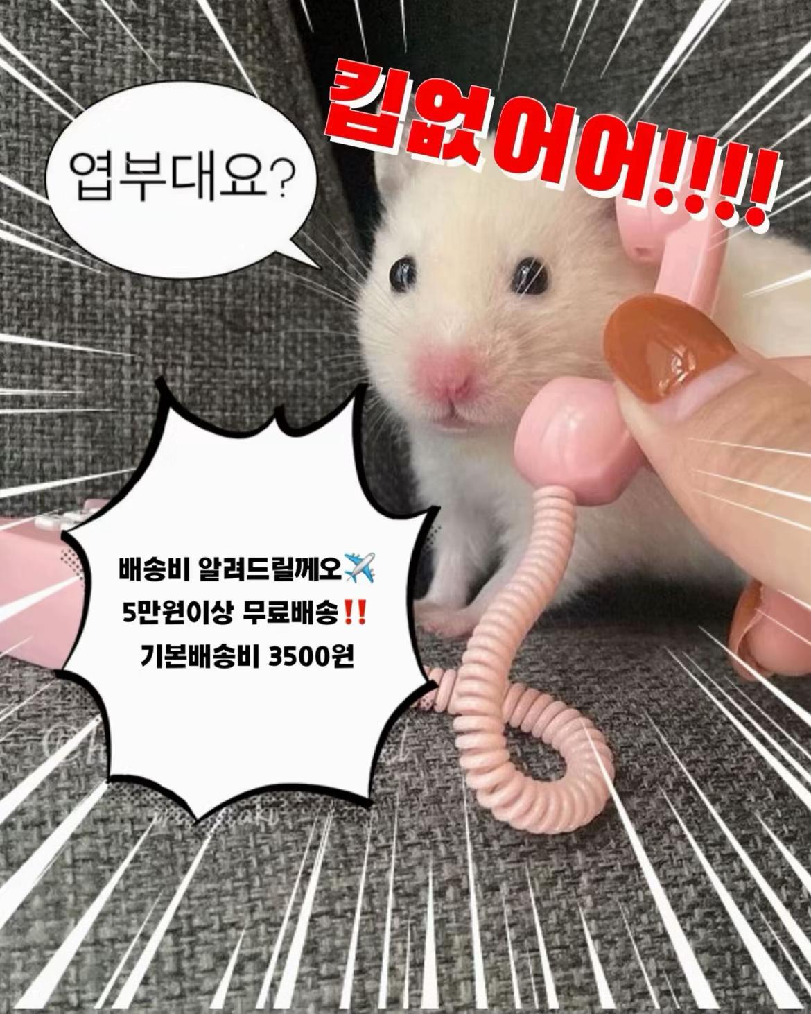 @탑스토어