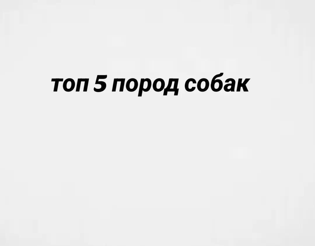 @ТЕРМИНАТОР