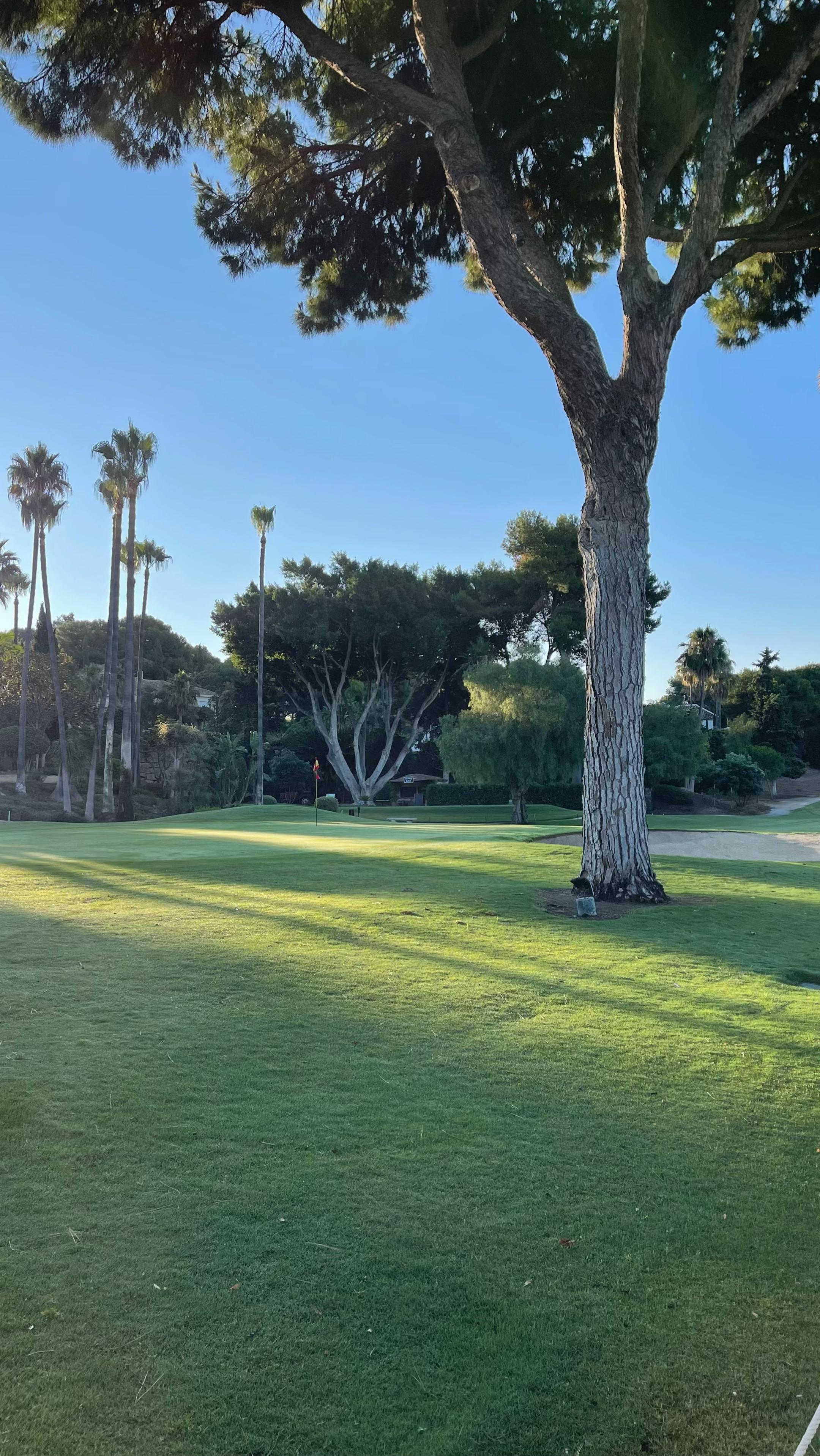 @ellen.golf