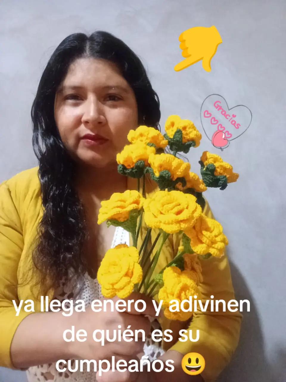 @tejidos michinoe
