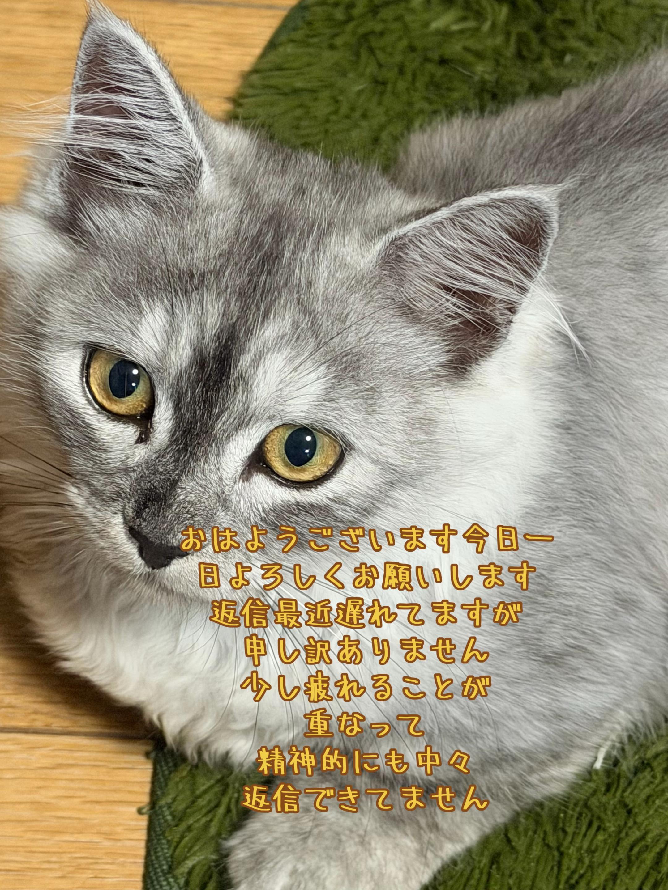 @ð¥é»æŸ€æ£å¿ð¥