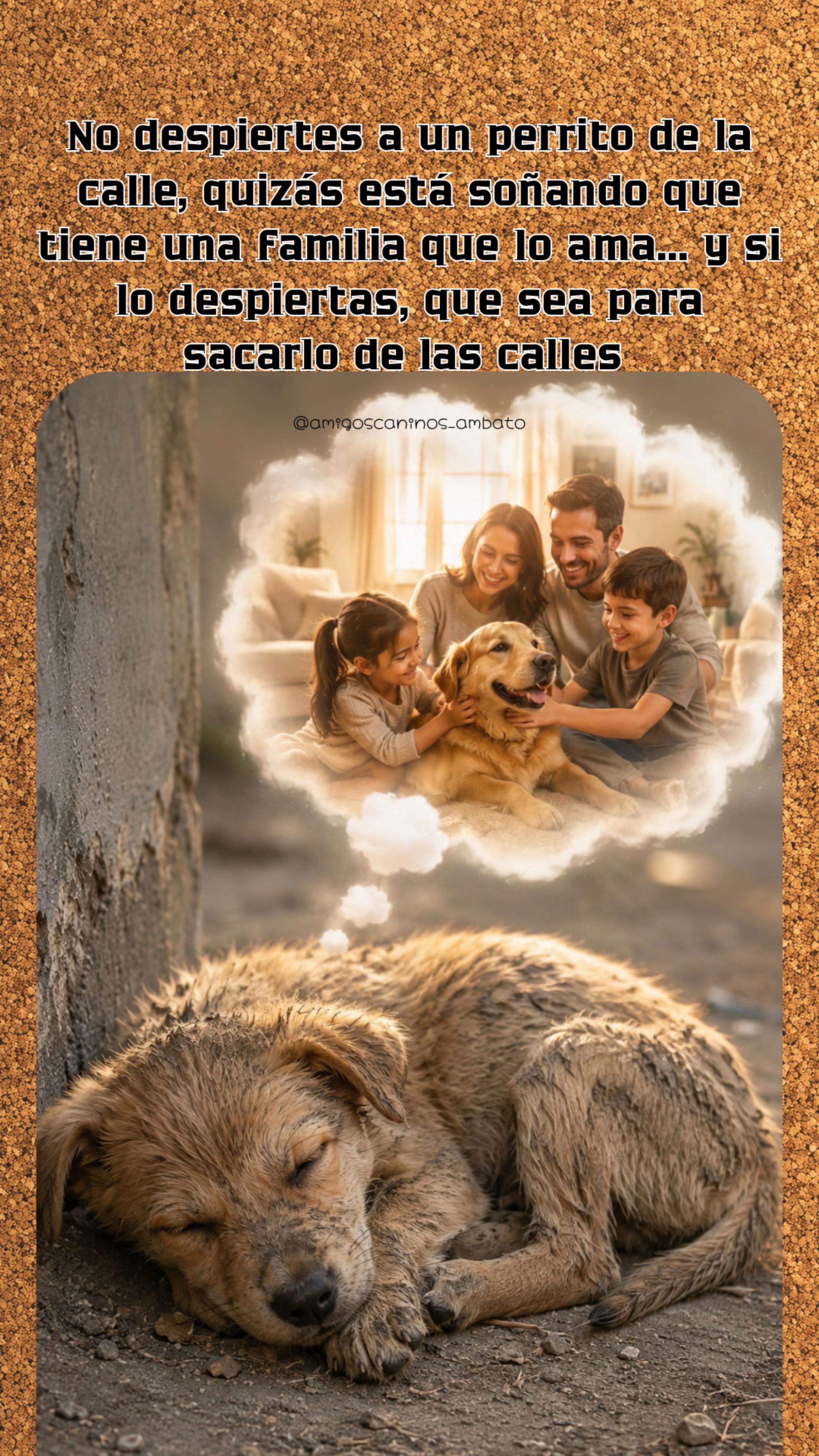 @Amigoscaninos_Ambato