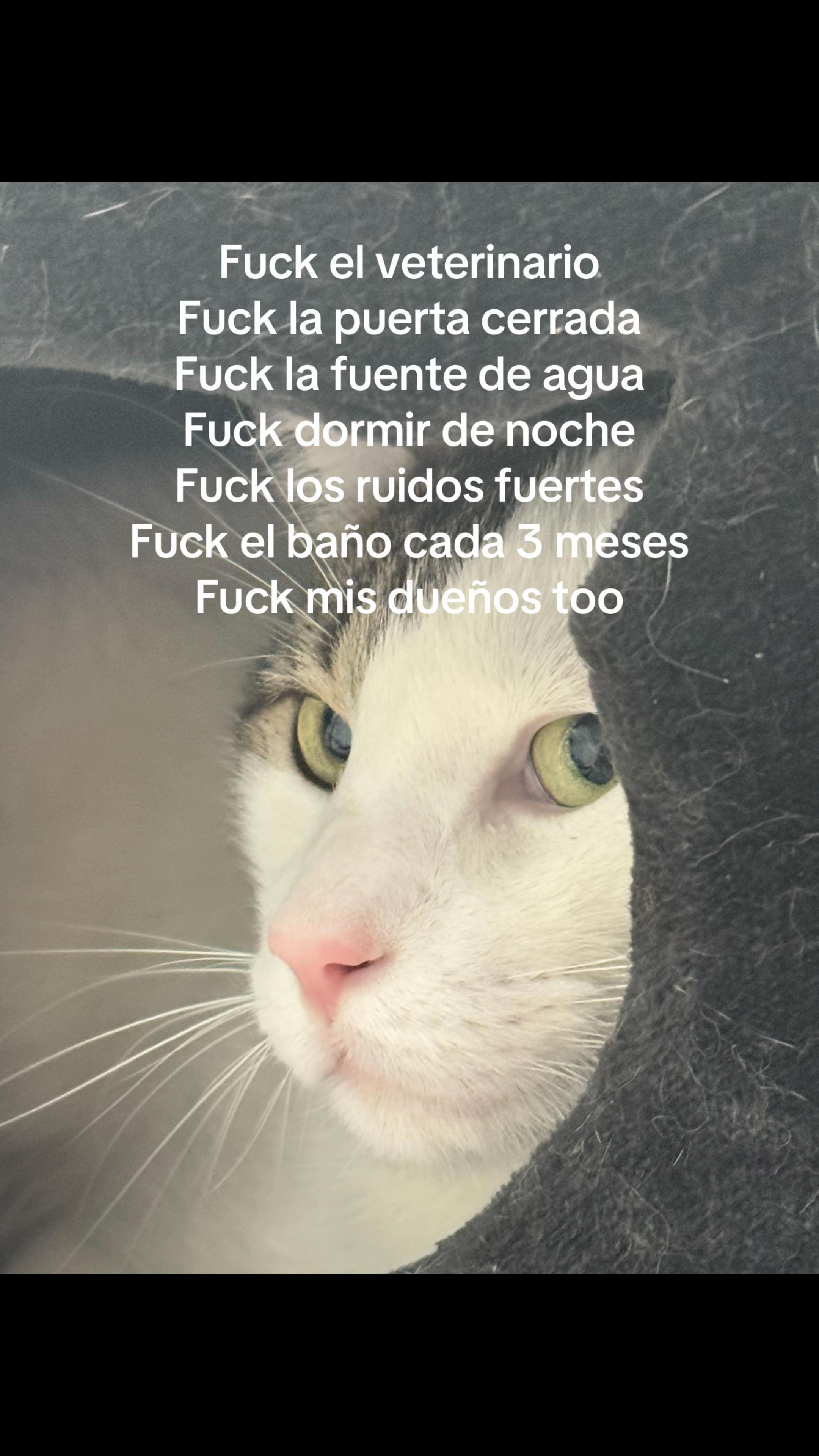 @Estefania🐦&zwj;🔥