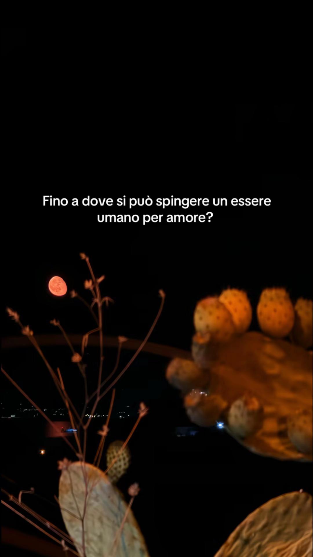 @giulia.de.benedettis