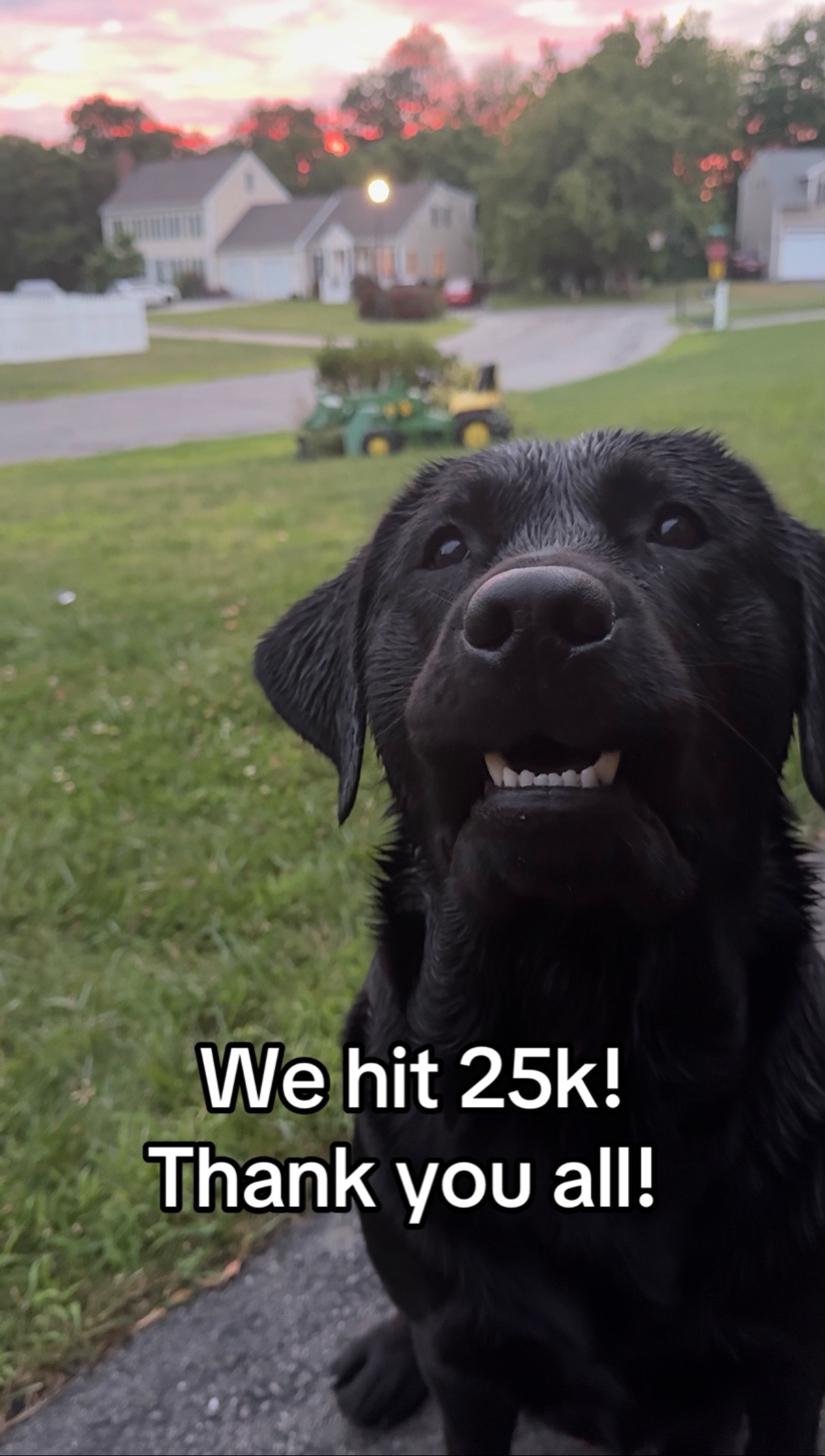 @DennisTheBlackLab