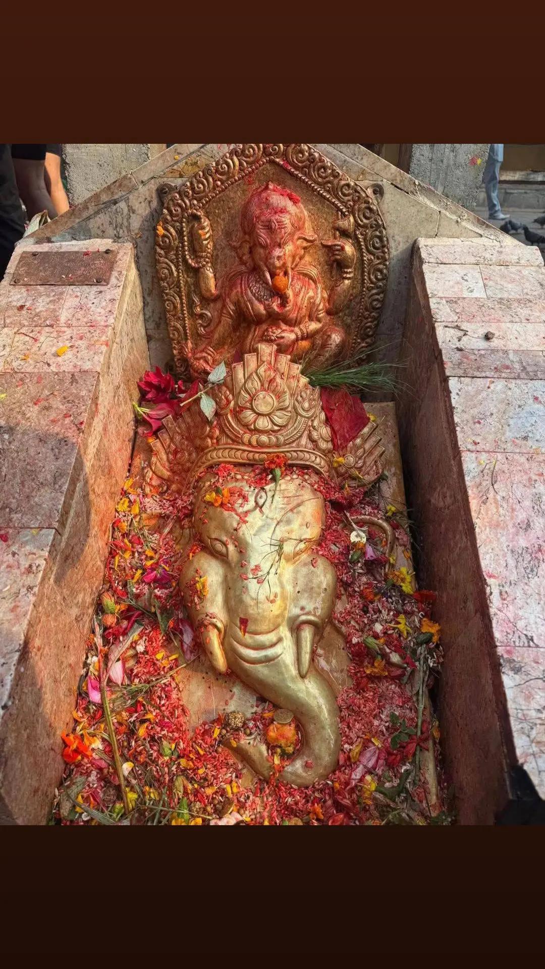 @Abhishek Raj Bajracharya