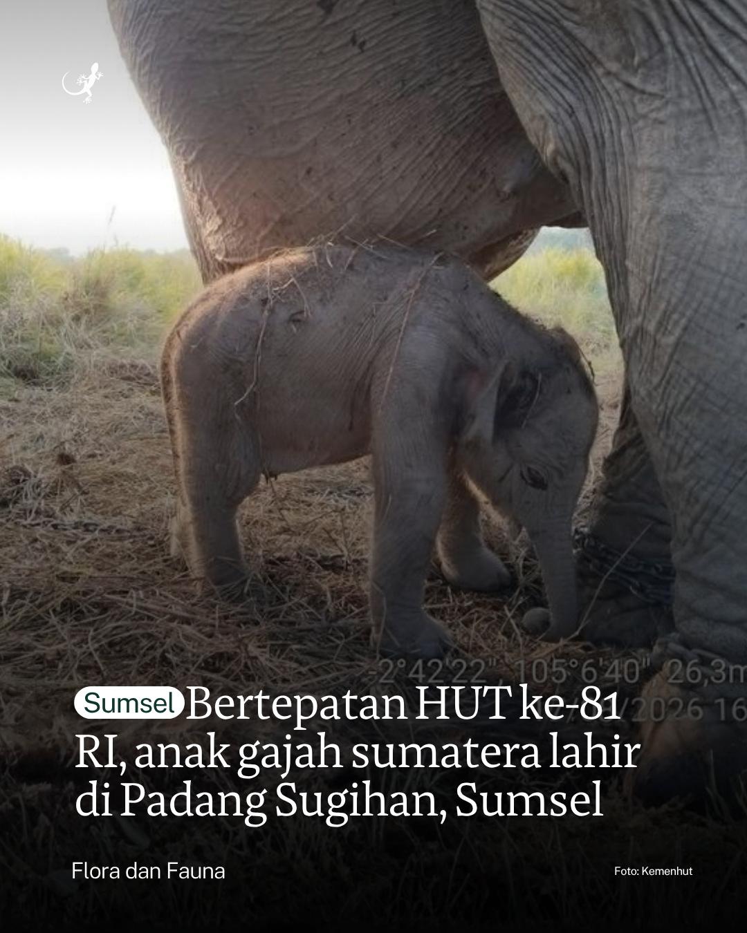 @mongabayindonesia