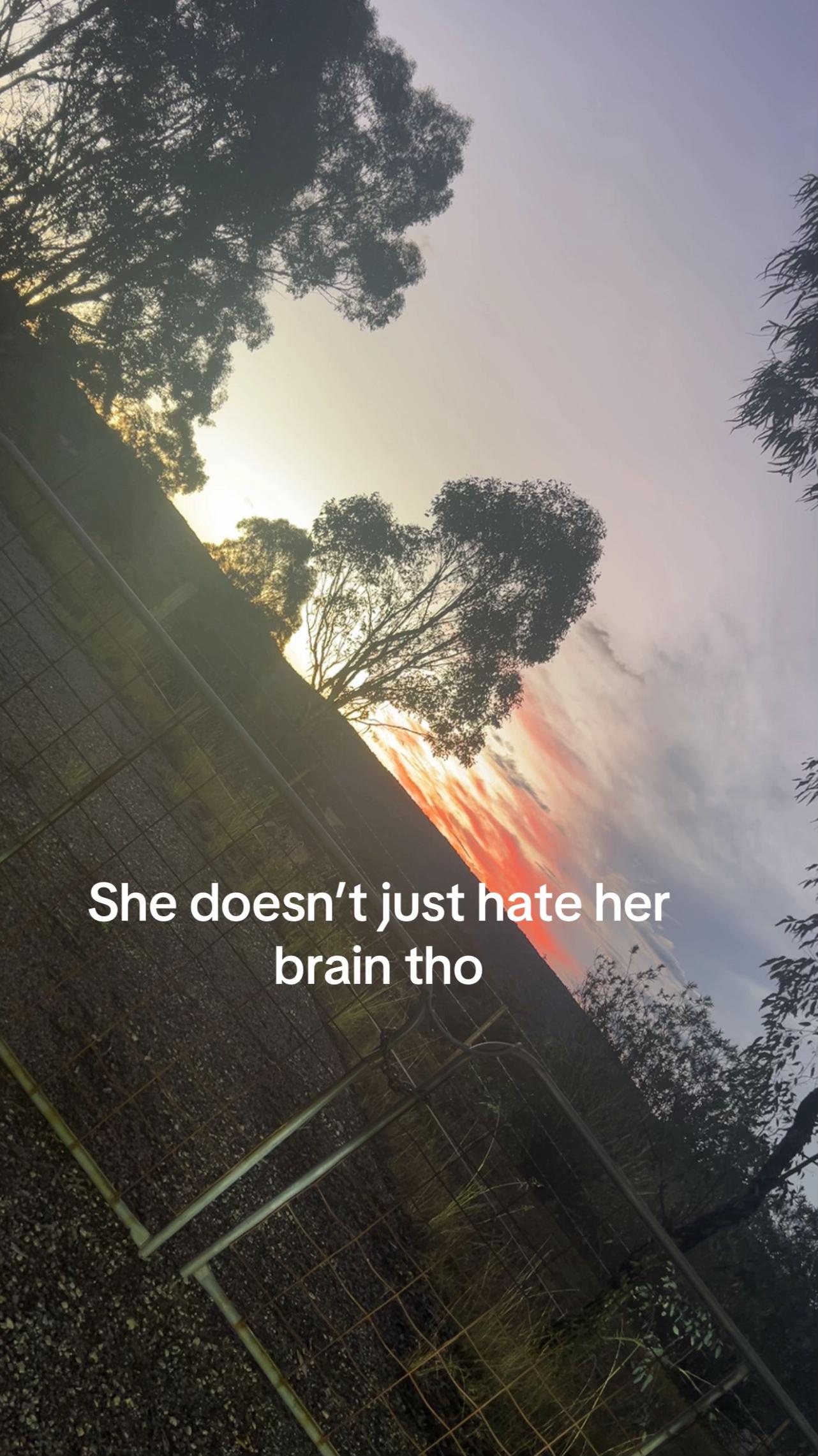 @Mj