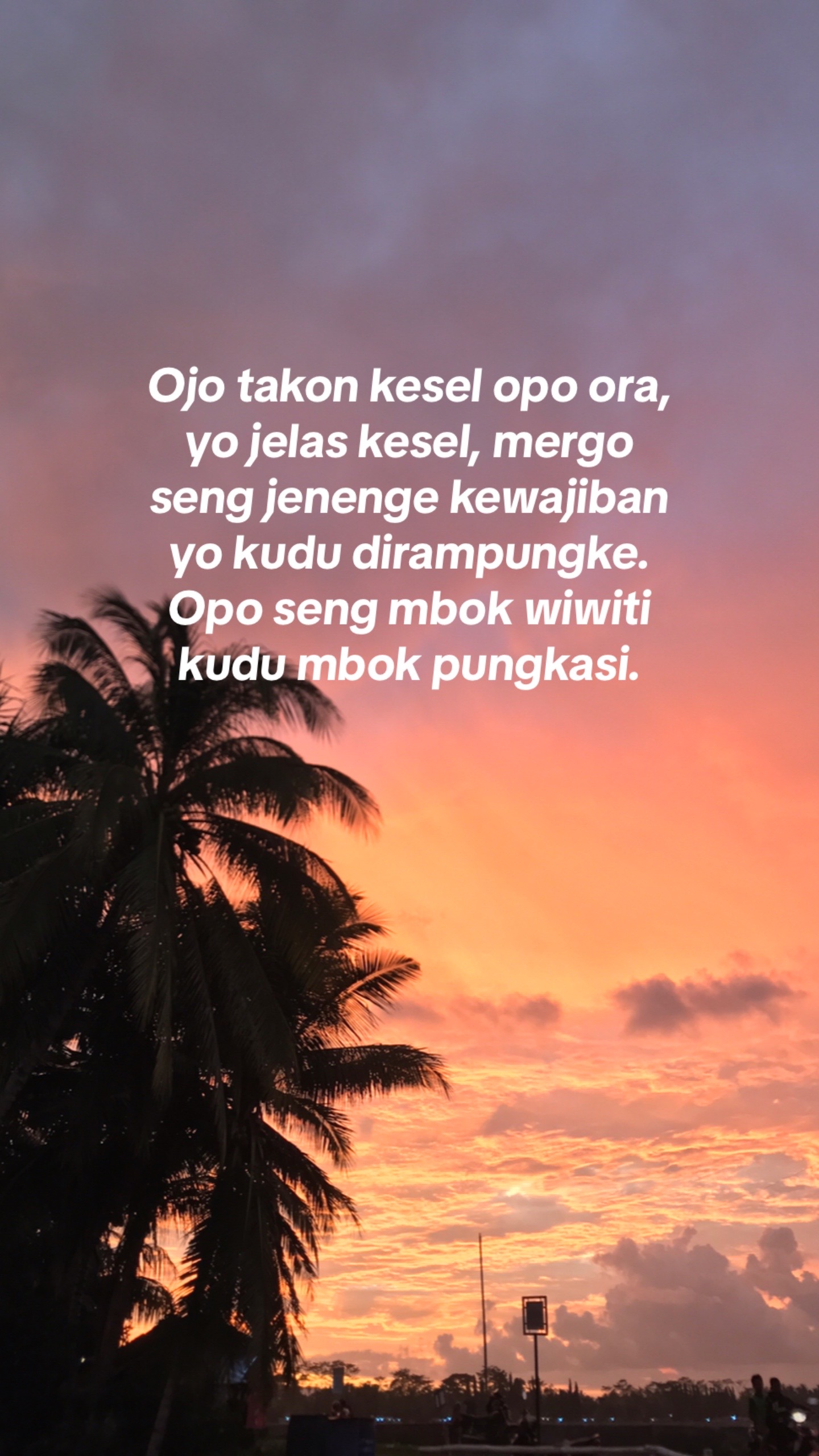 @zal