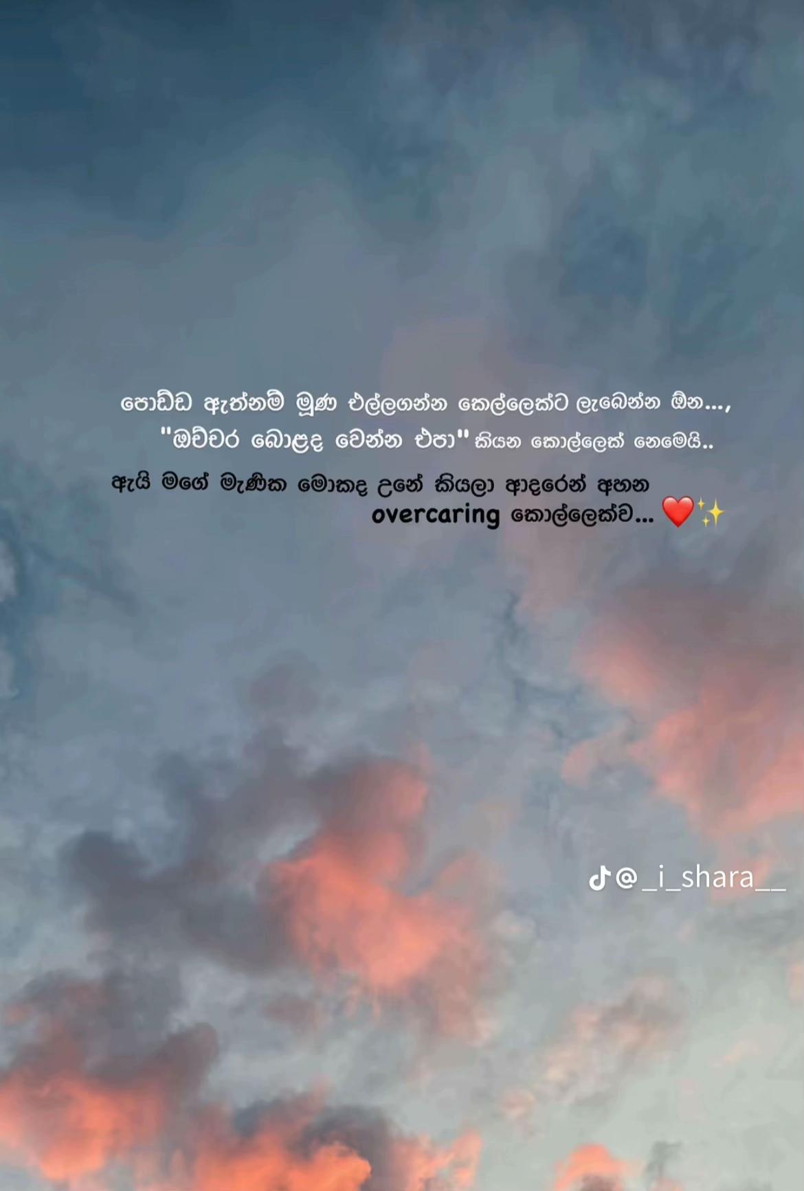@සෙව්වන්දි 💛🌼