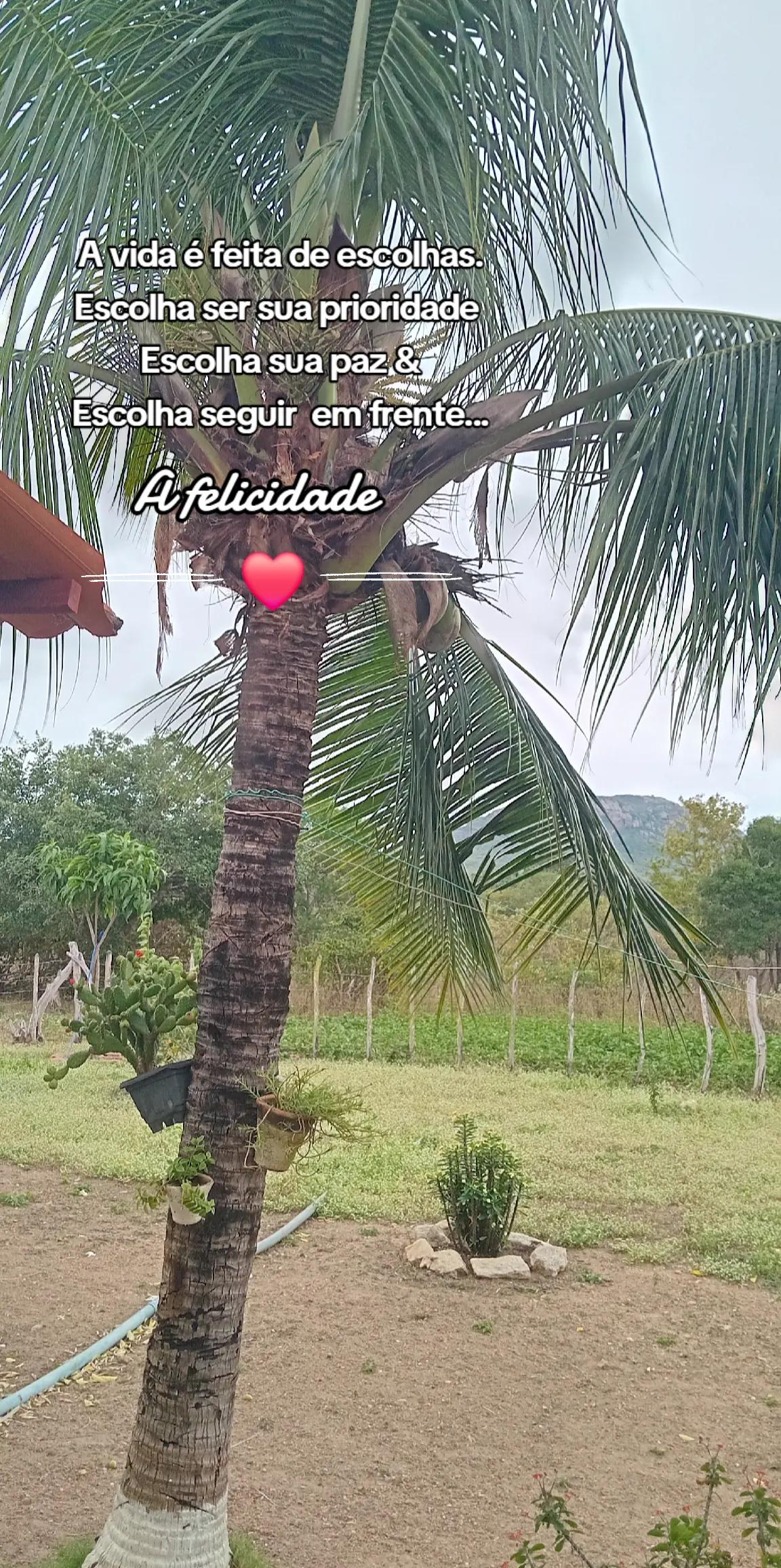 @PAISAGENSDODIAADIA