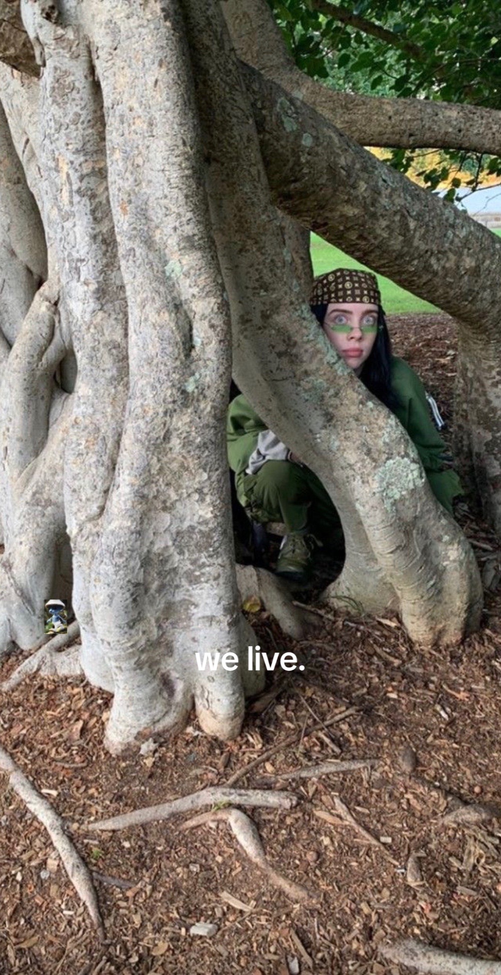 @billie eilish