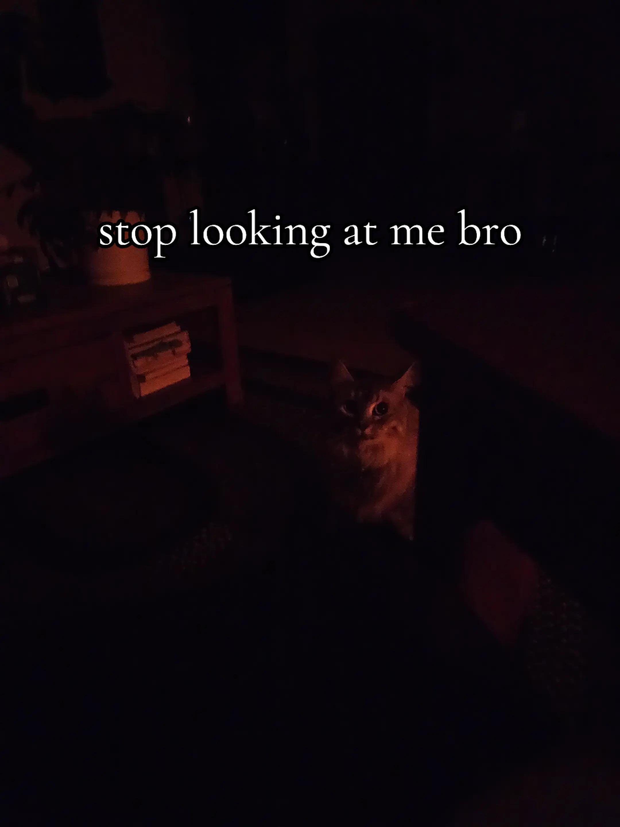 @Dani