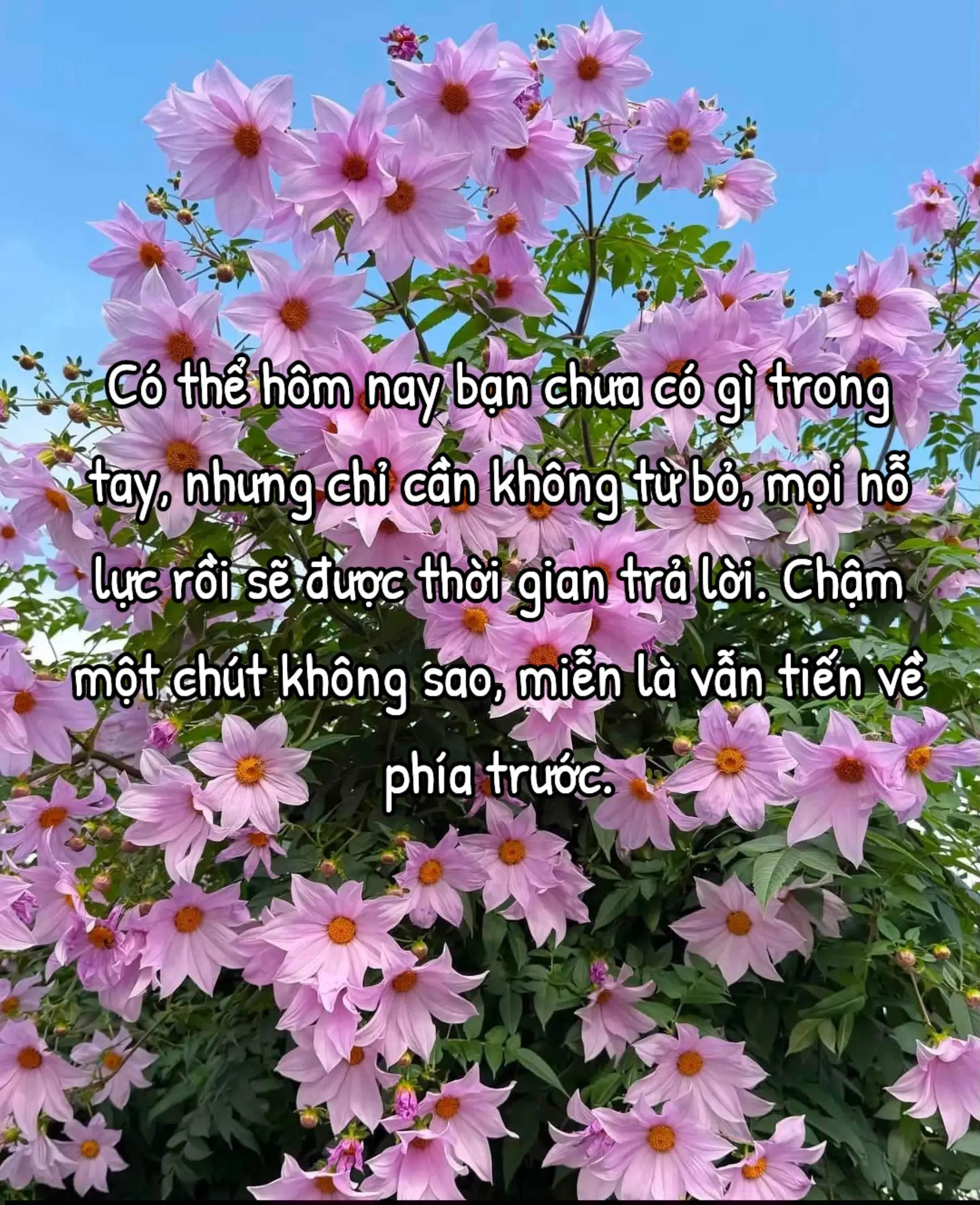 @HẢI TRUNG KIM.